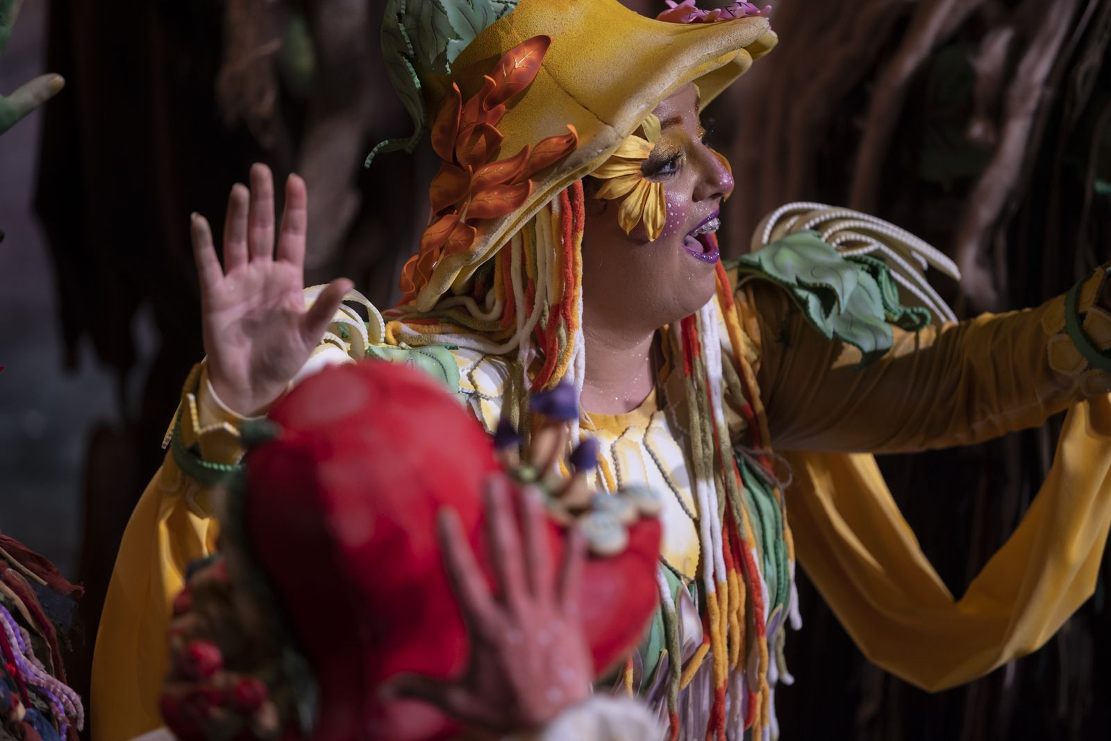 Imágenes de la actuación de la comparsa de Huelva "La vieja verde" en el Carnaval Colombino