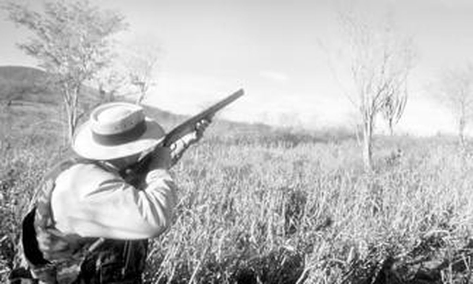 Vuelvenlas escopetas