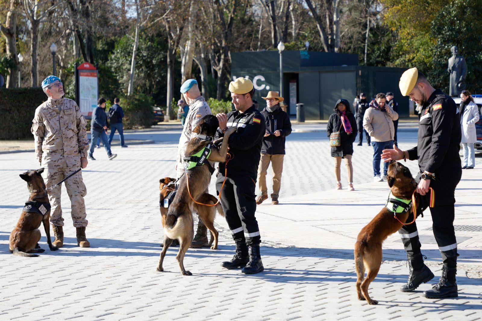 Las imágenes de la celebración del día de San Antón por la Policía Nacional en la plaza de España