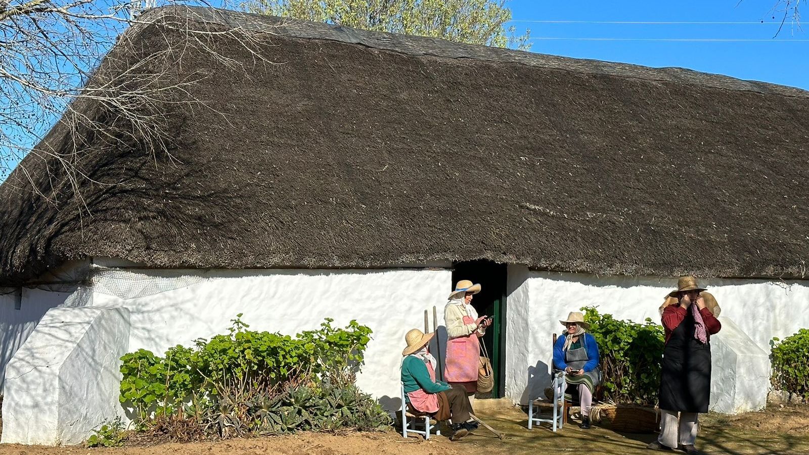 Centro de Mayetería de Rota.