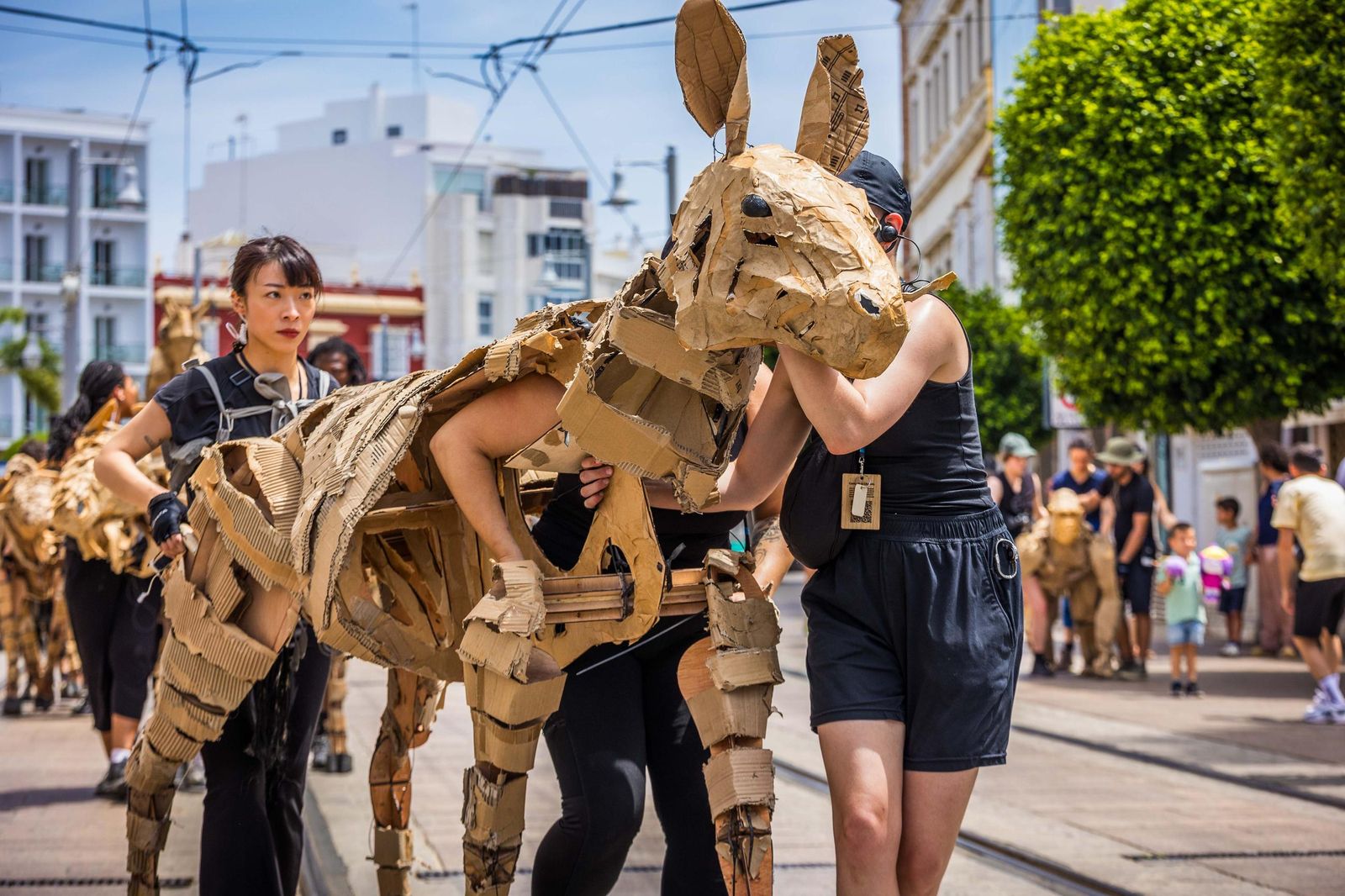 Las imágenes de 'La estampida' en San Fernando
