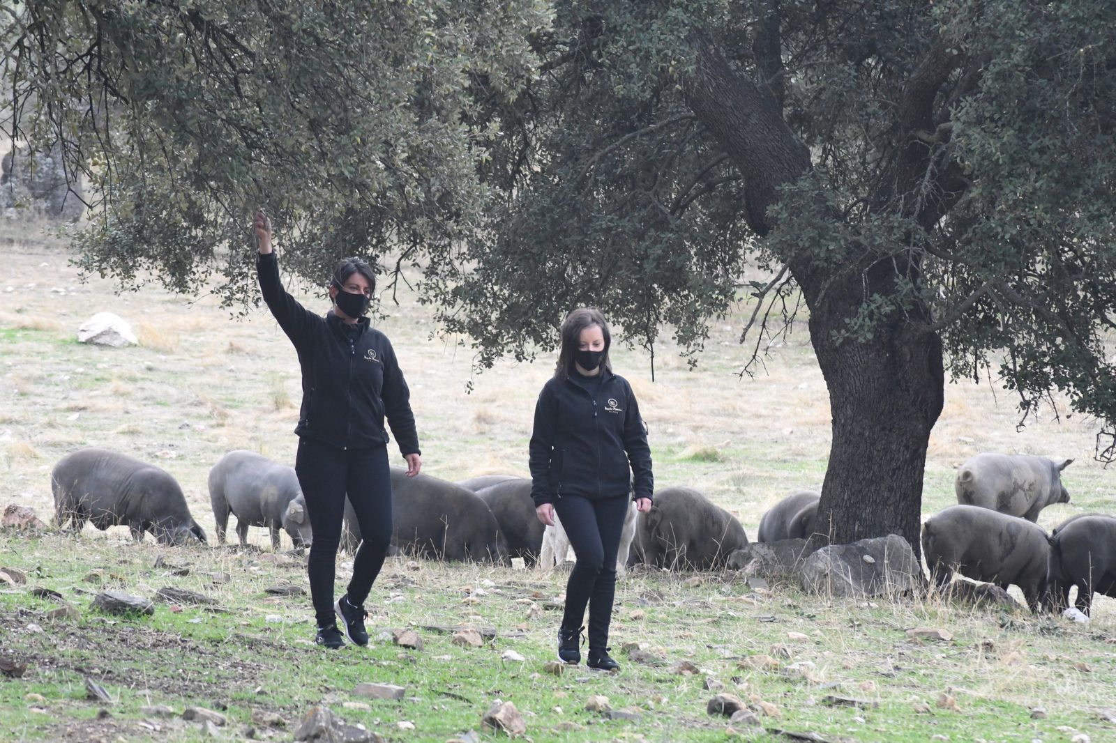 Las hermanas Torralbo Cepas pastoreando en Los Pedroches.