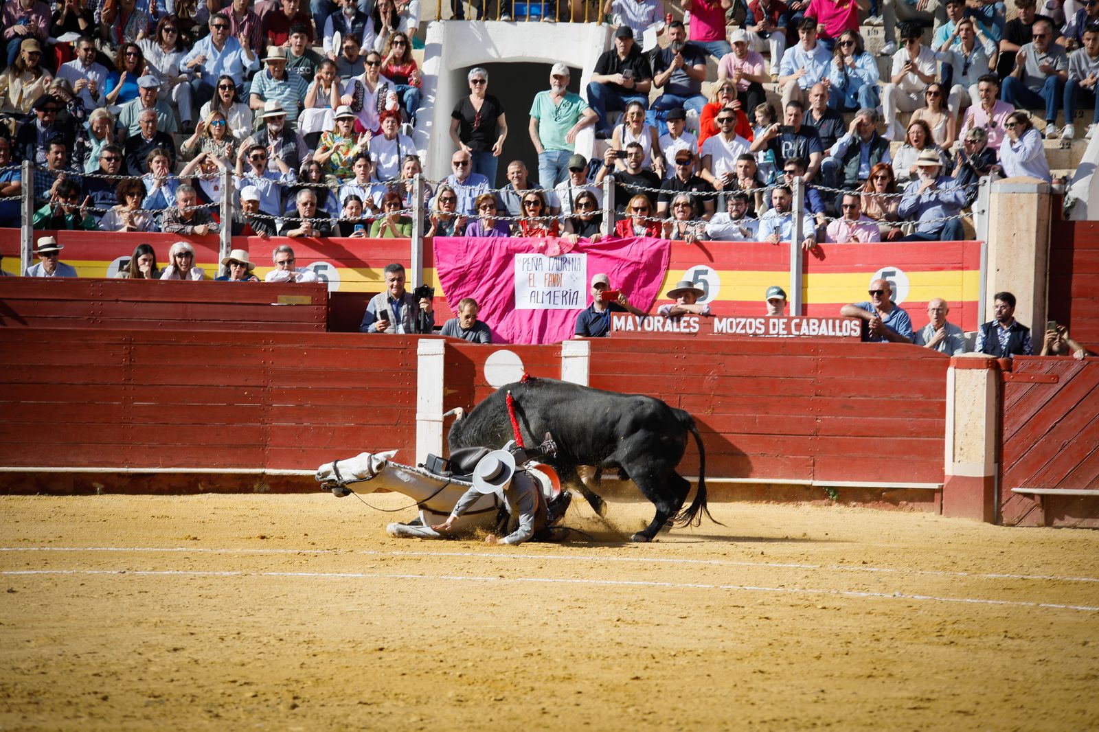 Imágenes del festival mixto lucha contra el cáncer