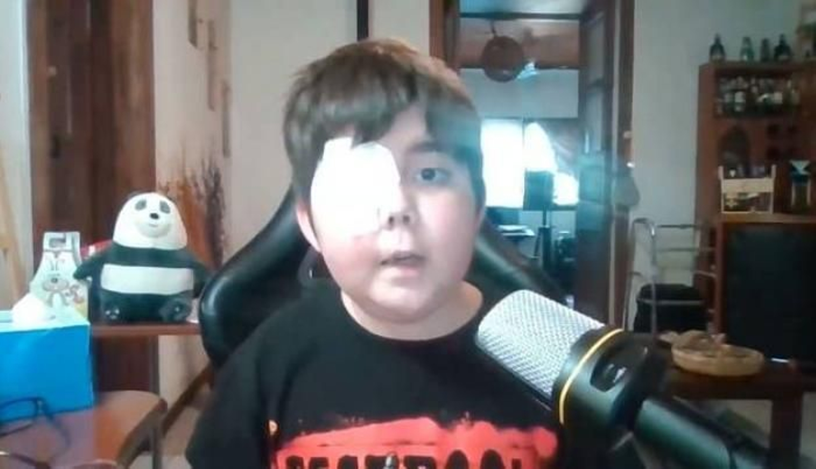 Muere un famoso youtuber de 12 años con 8 millones de suscriptores que retransmitió su dura enfermedad