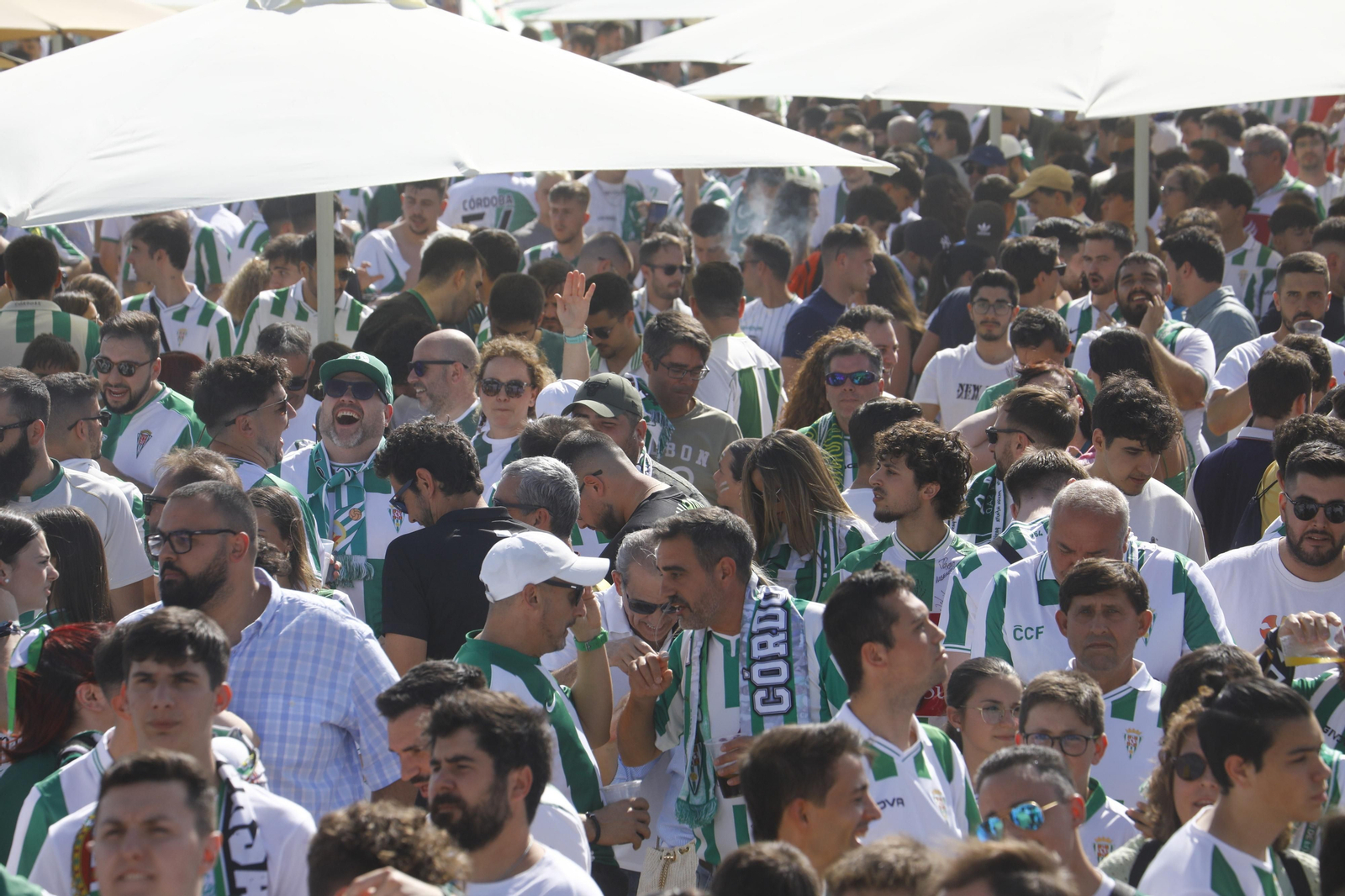 Las mejores fotos de la 'Fan Zone' del Córdoba CF antes del partido ante la Ponferradina