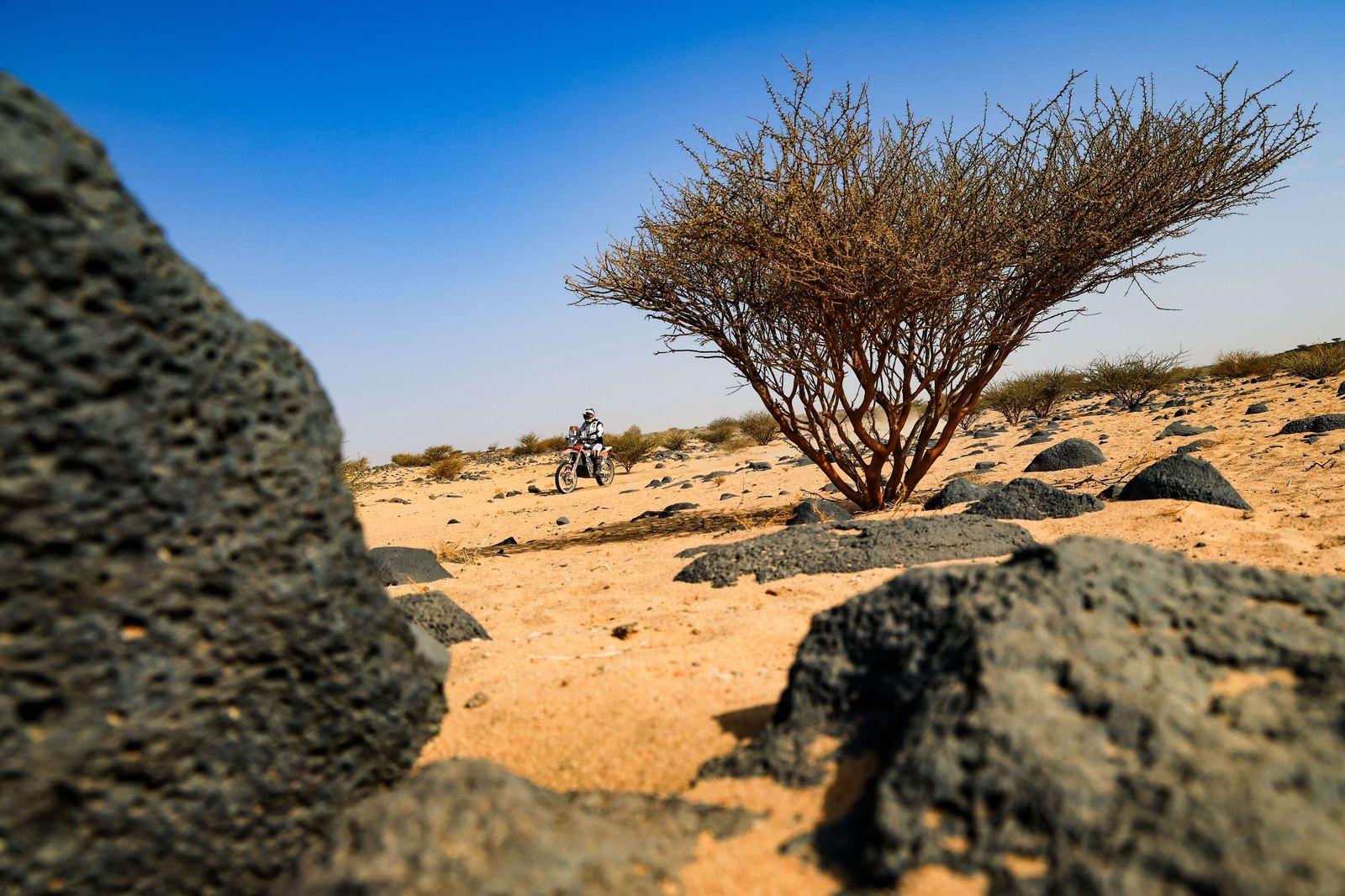 Las mejores fotos del Rally Dakar | undécima etapa
