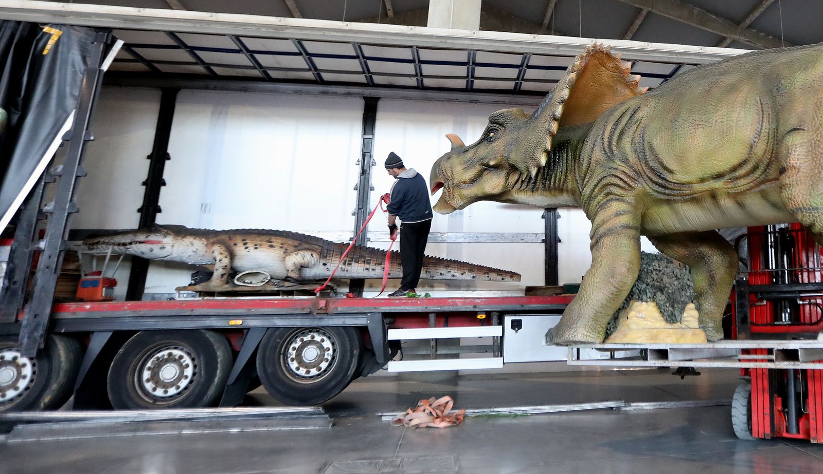 Imágenes del montaje de la mayor exposición de dinosaurios animatrónicos