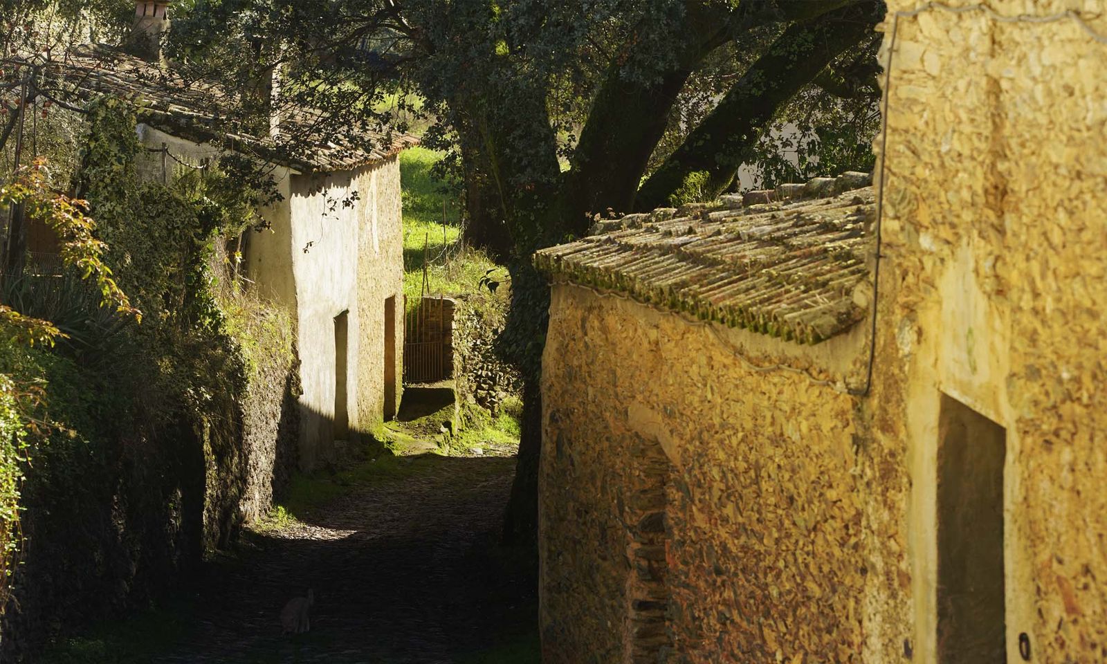 Tradición viva y encanto rural en cada calle