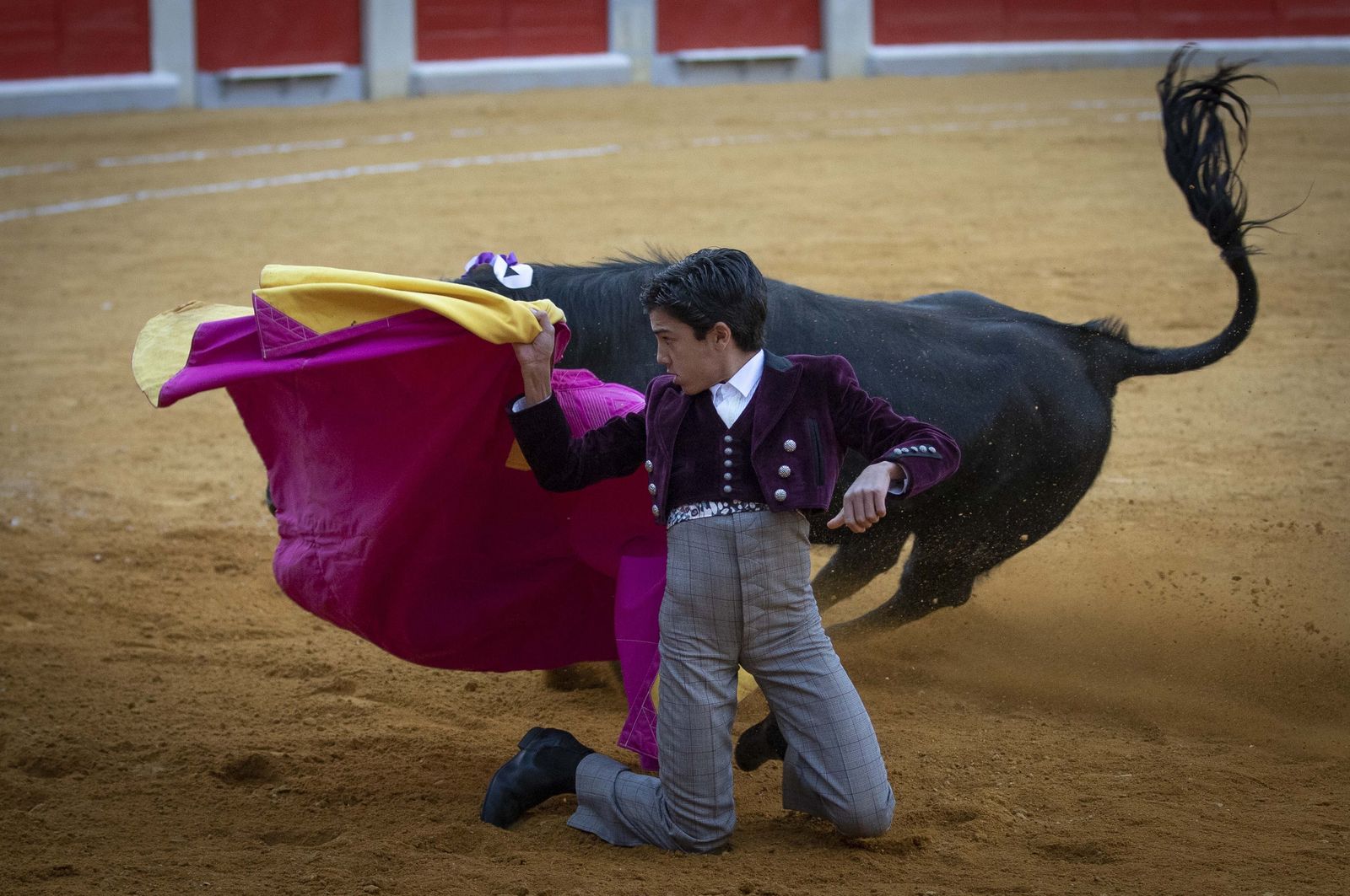 Las mejores imágenes del Festival Taurino en beneficio de Granadadown