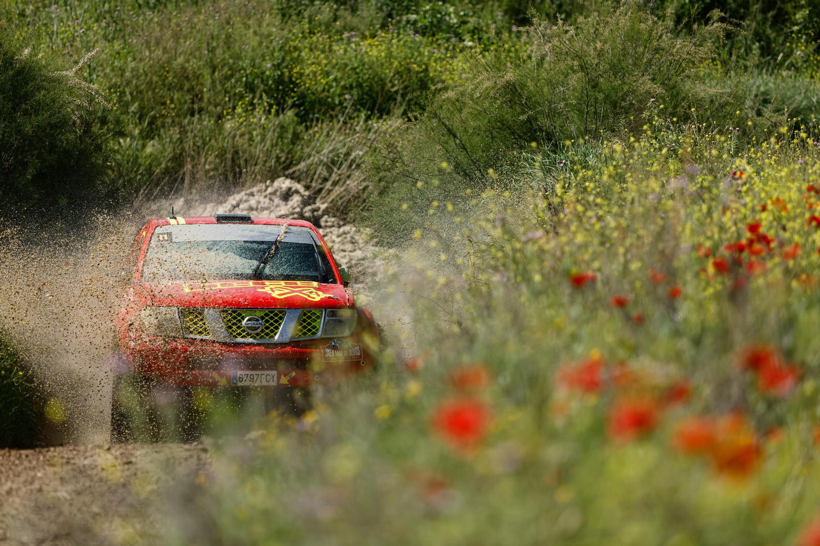 En imágenes: VI Rallye TT Mar de Olivos: motor en estado puro