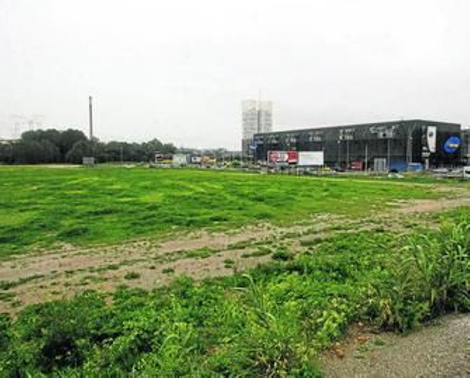 Vista general de la parcela ZO9 de Los Barrios, ubicada junto al parque comercial Las Marismas, esta semana.