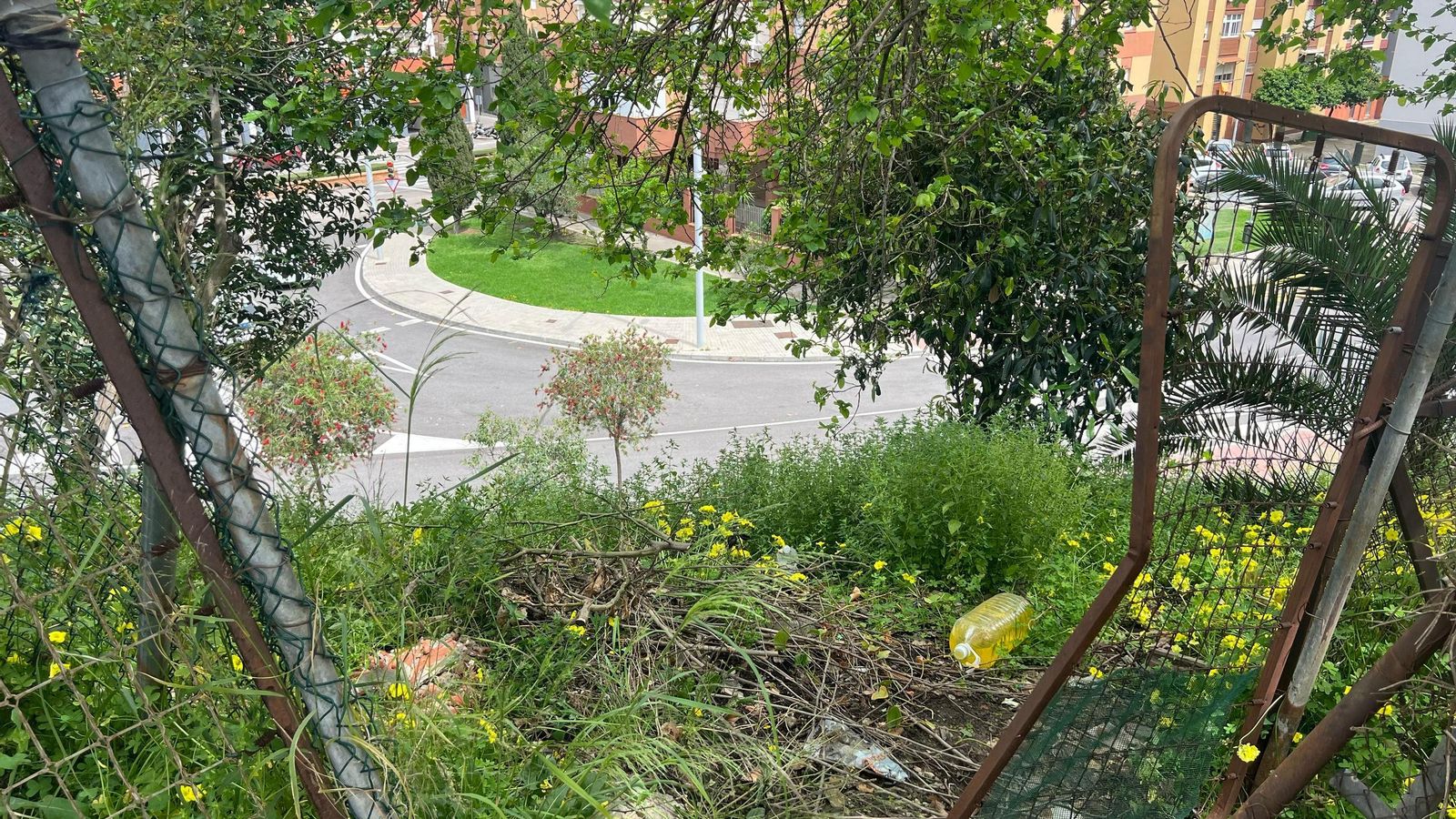 Arbustos donde el ladrón podría haber arrojado el arma y el dinero.