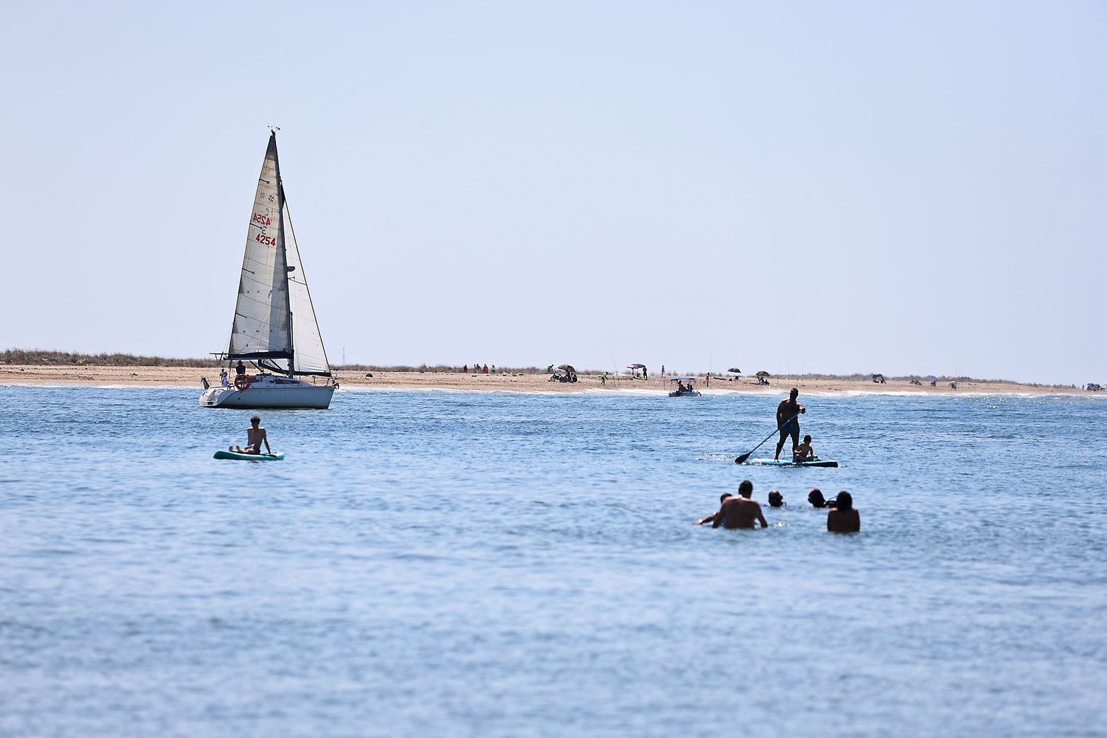 Imágenes de la gran recogida de residuos abandonados en el marco de la octava edición de '1m2 contra la basuraleza'. En la playa de la Canaleta.
