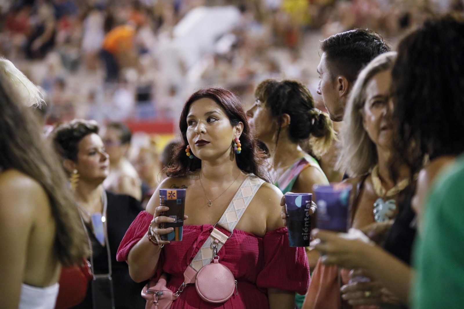 Concierto de Luis Fonsi en Almería