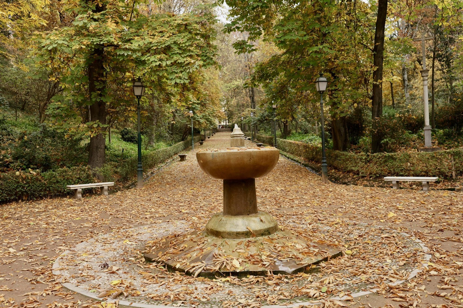 El bosque de la Alhambra de Granada