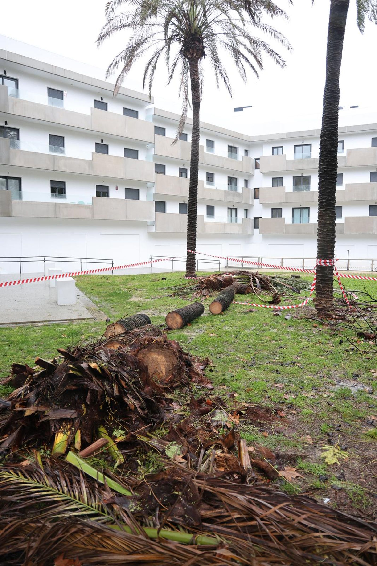 Fotografías de los destrozos de la borrasca Kristin en Huelva este miércoles
