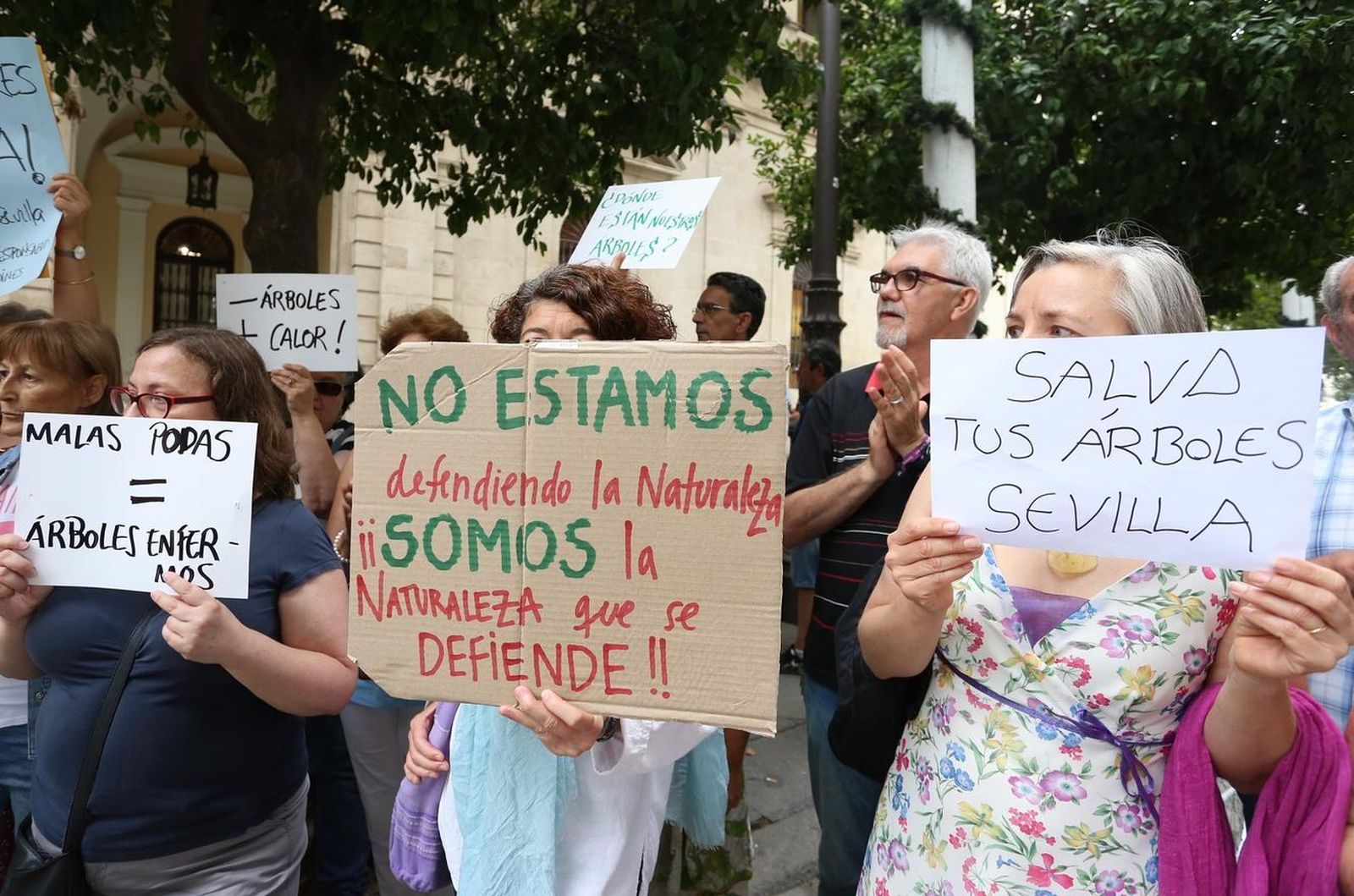 Protesta en la Plaza Nueva contra la tala de árboles