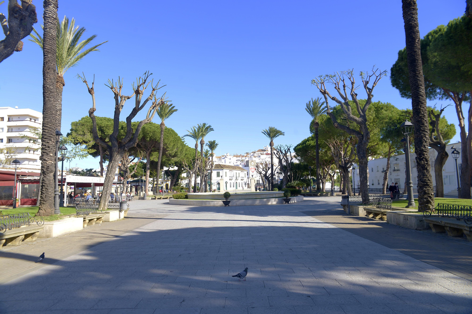 Fotos de ambiente en las calles de San Roque