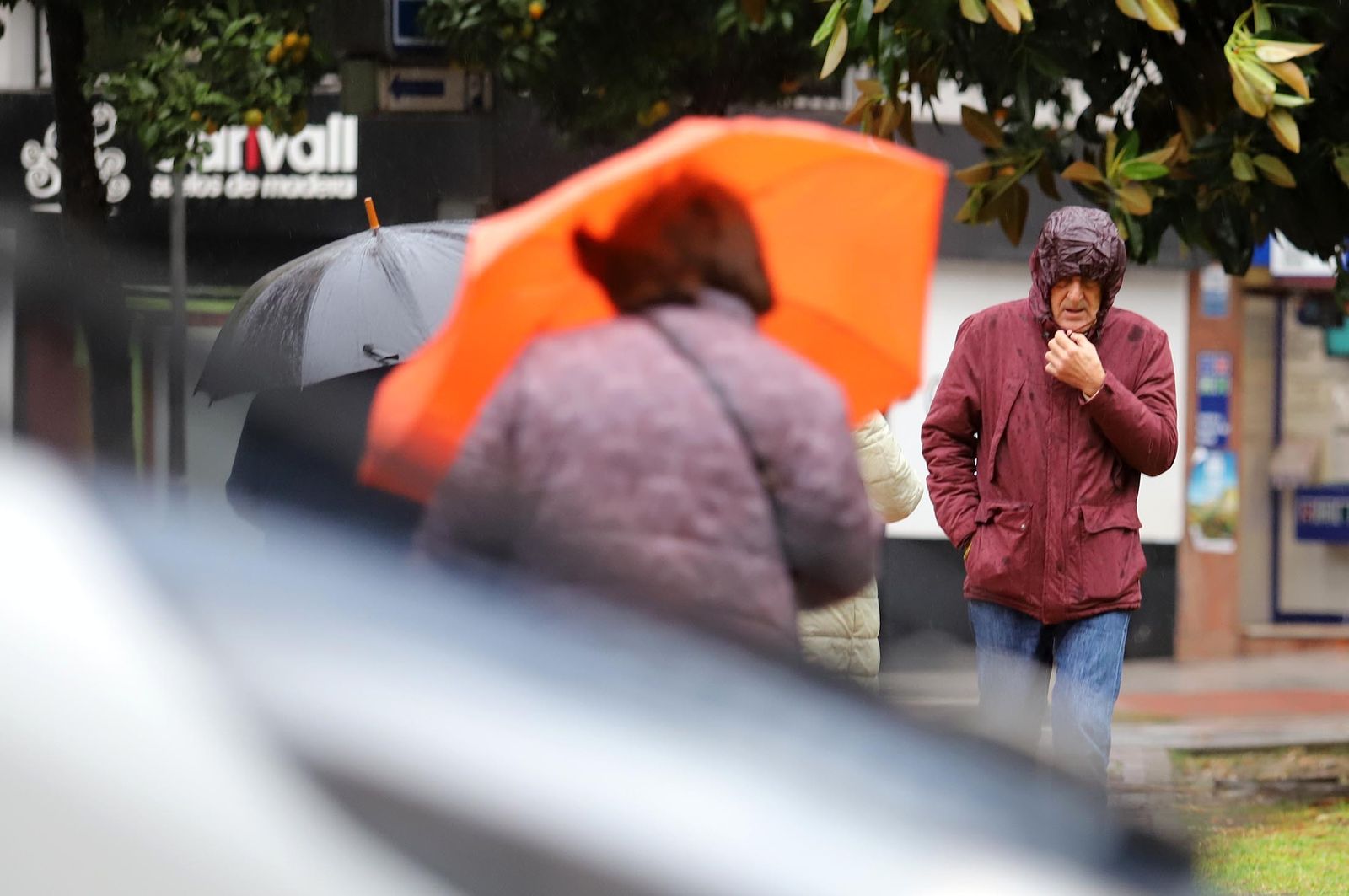 Imágenes del lunes 5 de diciembre en Huelva