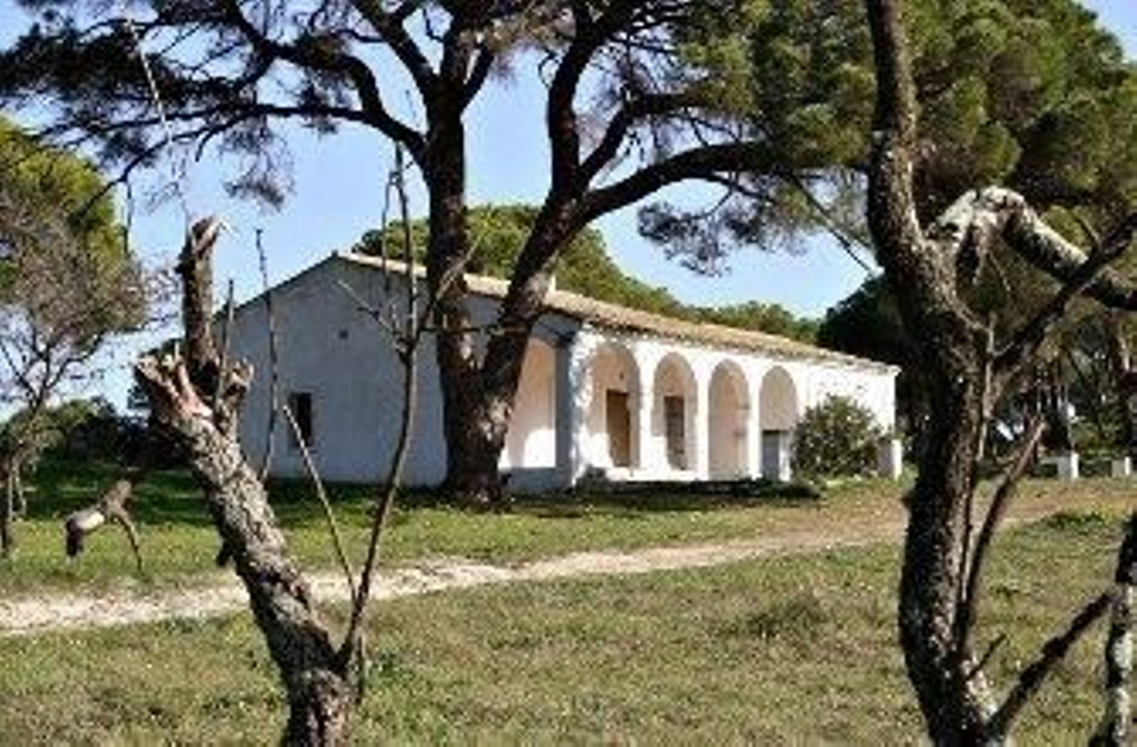 Foto: Alberto Domínguez