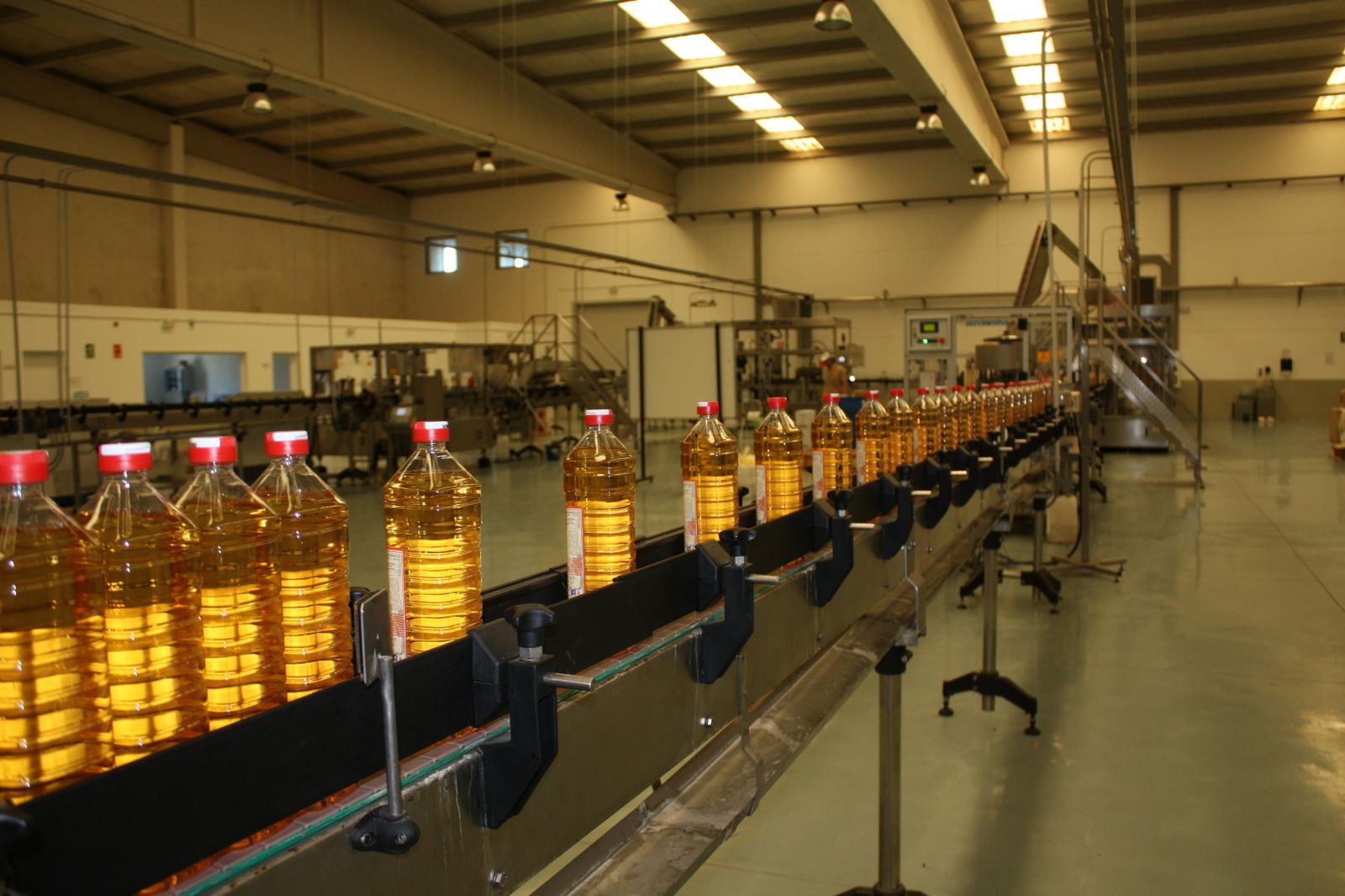 Cinta de embotellado y de etiquetado de vinagres, producto realizado para Ybarra, una de las empresas líderes en el mercado español.