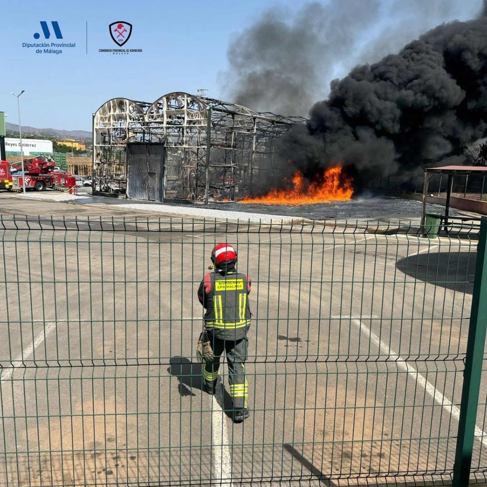 El fuego arrasa una empresa de subtropicales y un almacén de leña en Vélez-Málaga