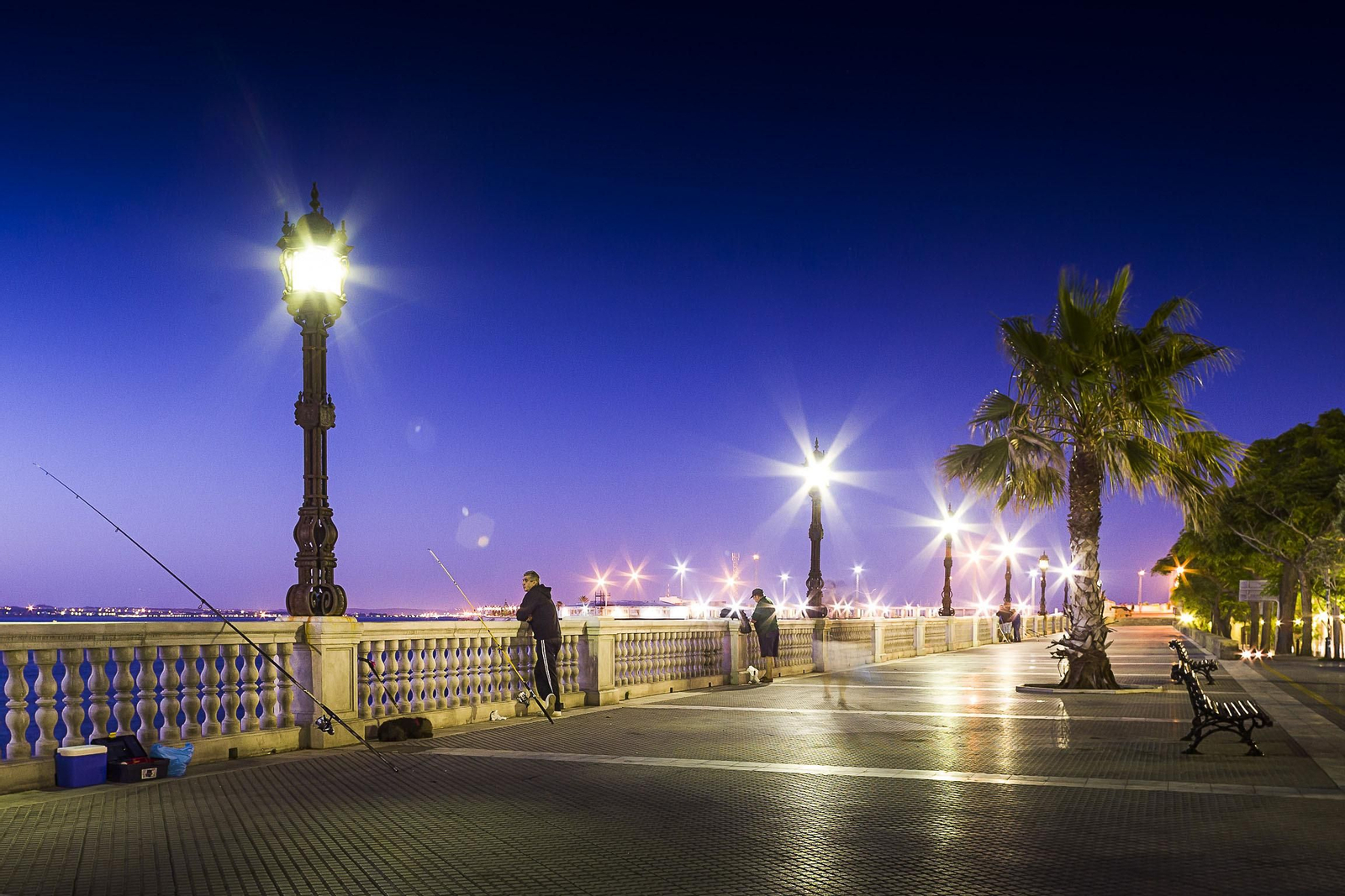 La Alameda al anochecer.