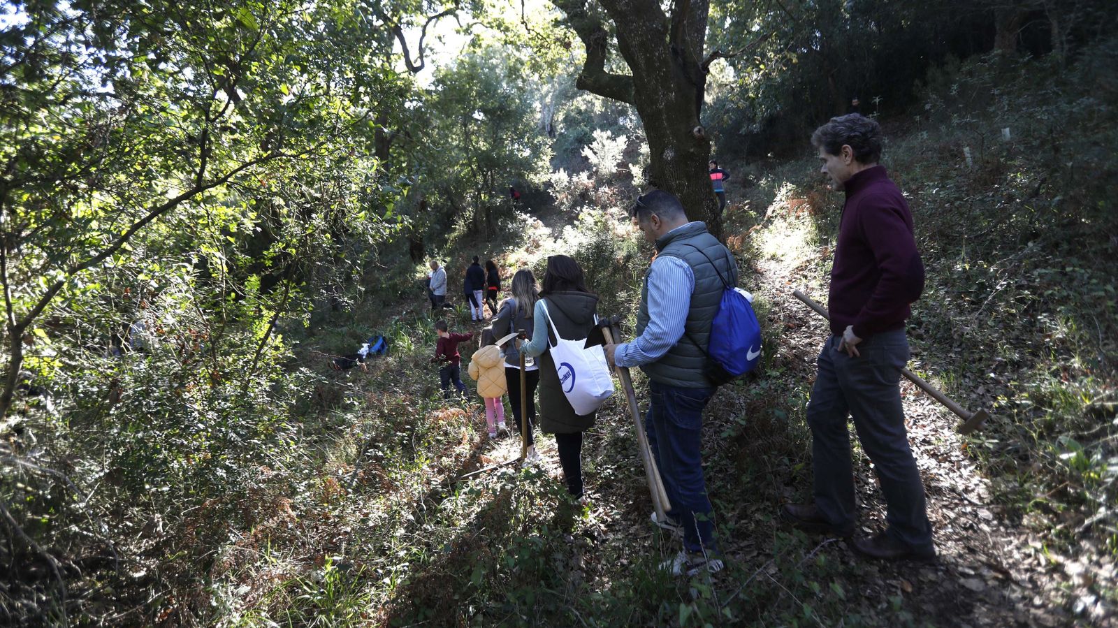 Jornada de reforestación en El Palancar por trabajadores de Acerinox, en imágenes