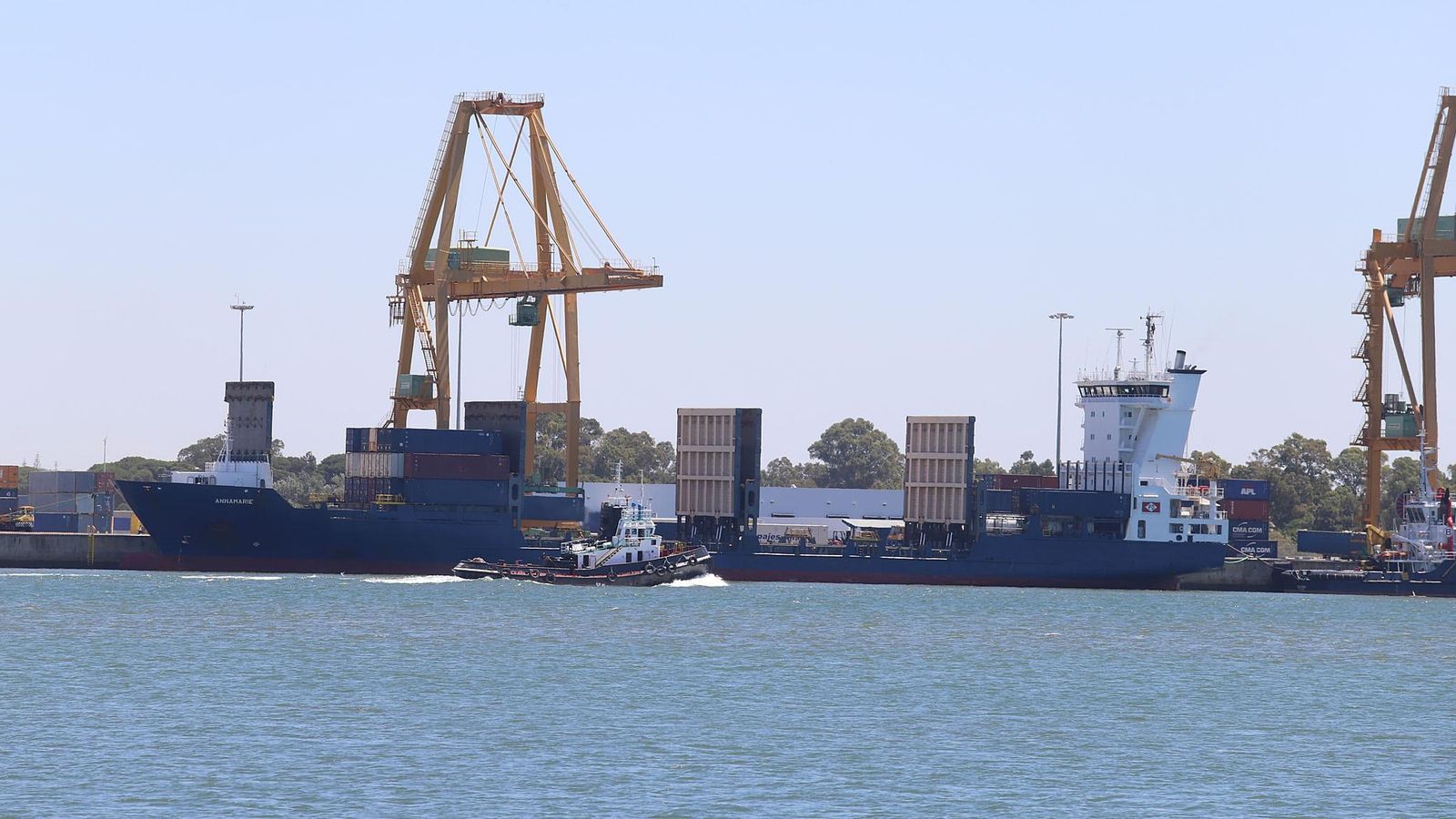 Dos buques operan en las instalaciones del Muelle Sur de manera simultánea.