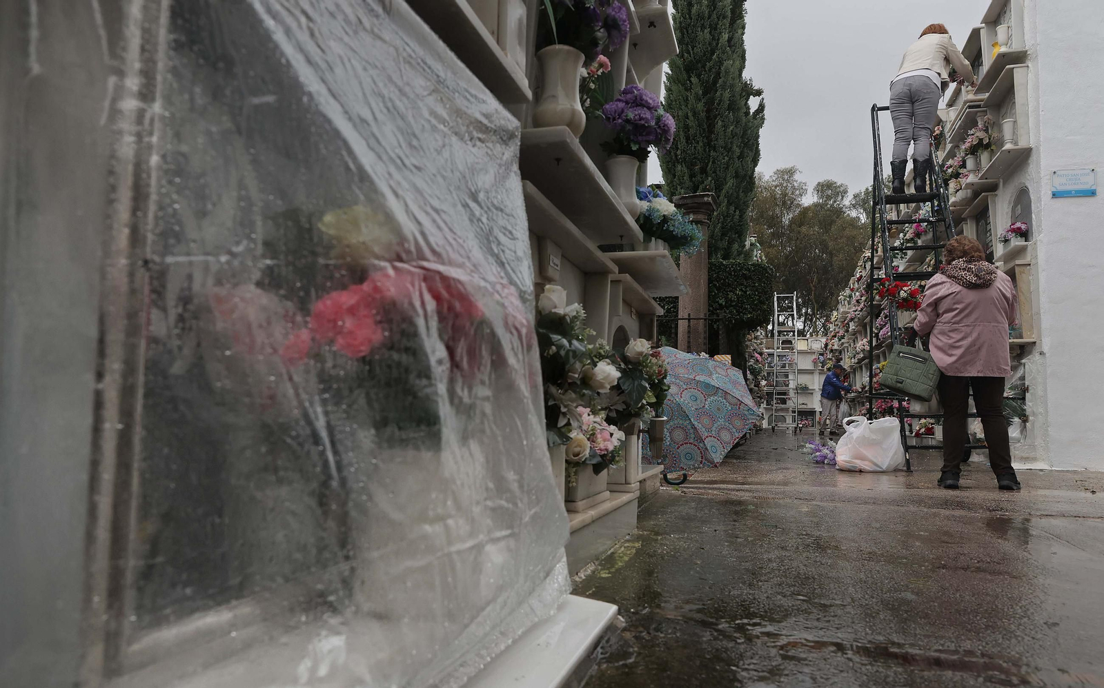 Fotos de los preparativos para Tosantos en el cementerio de Algeciras