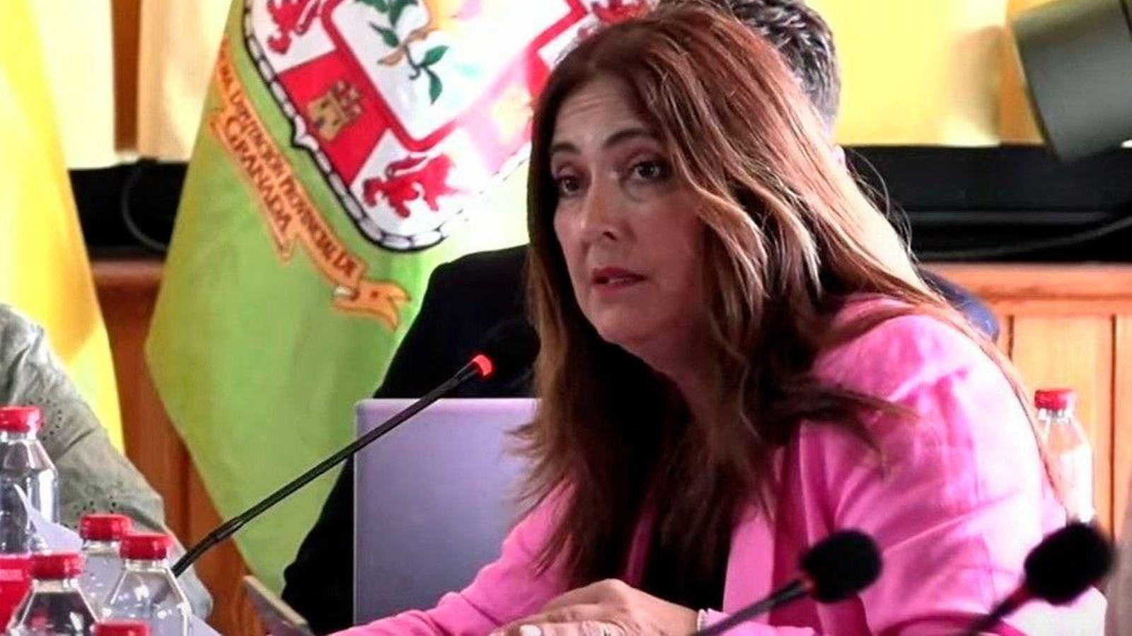 La diputada provincial del PSOE, Remedios Gámez