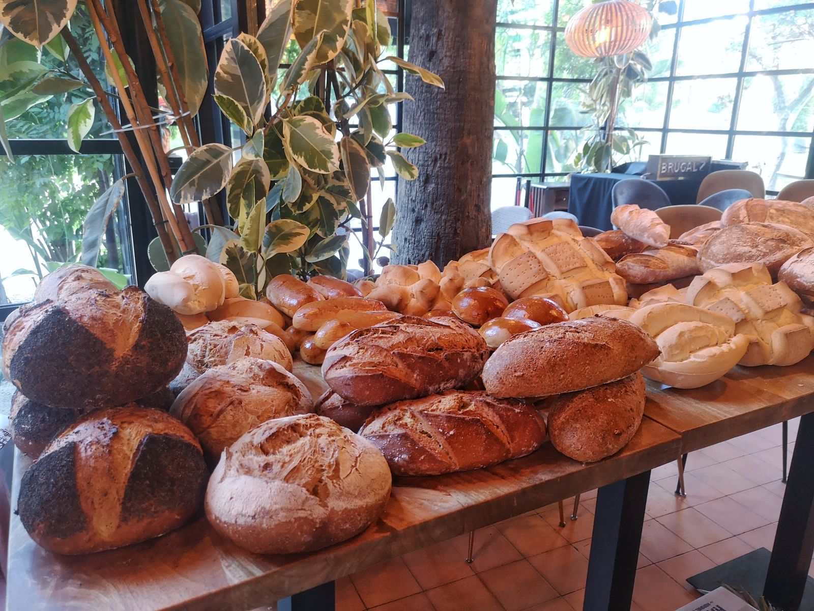 Parte de los productos que se expusieron en la cata