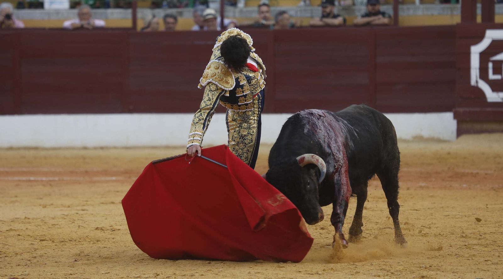Fotos del triunfo de Manuel Roman y Javier Zulueta con la buena novillada de Núñez de Tarifa que abrió la Feria de La Línea