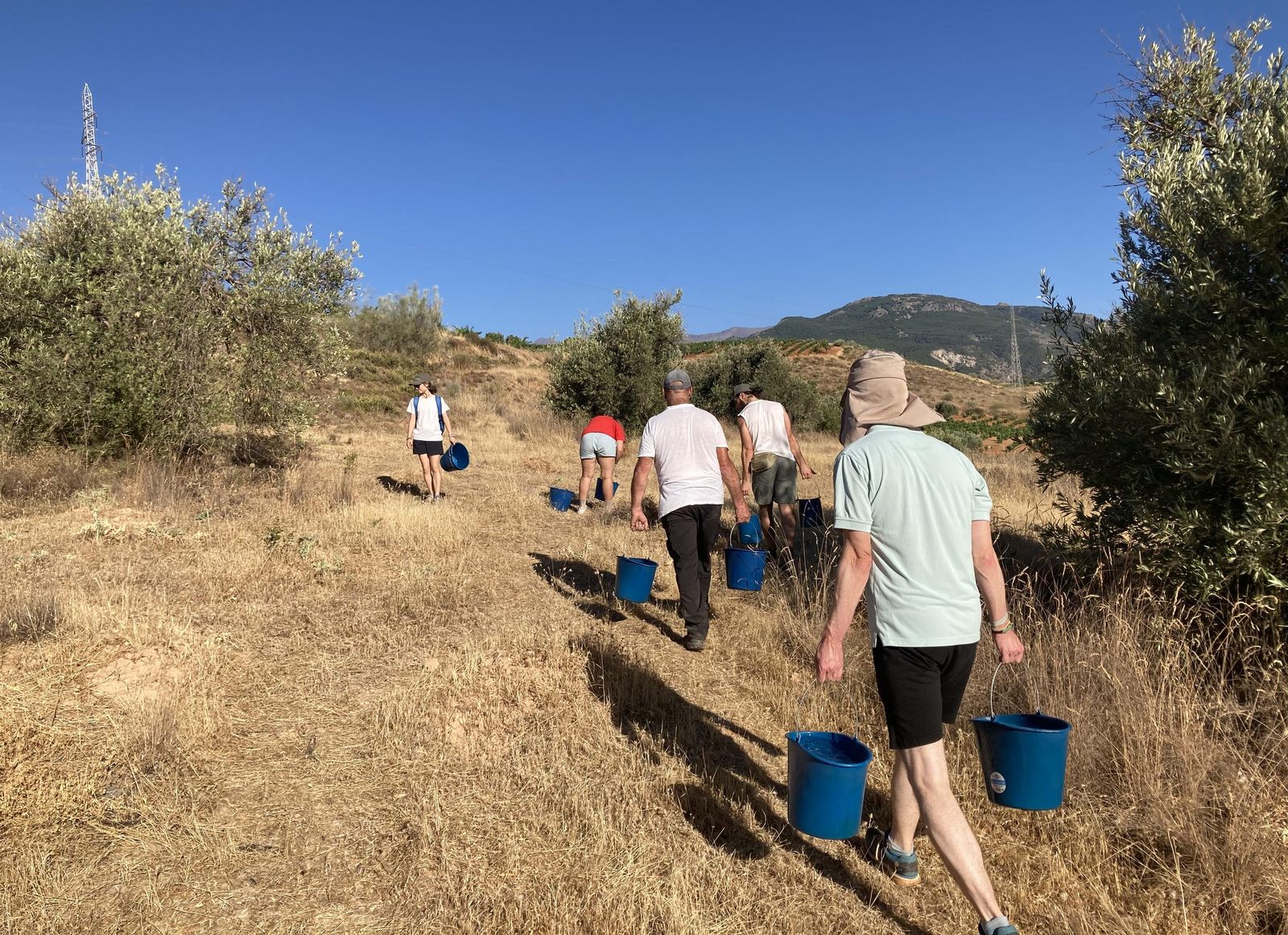 Un grupo Operación Encina en pleno desarrollo de sus labobres en la zona del Camino de los Neveros