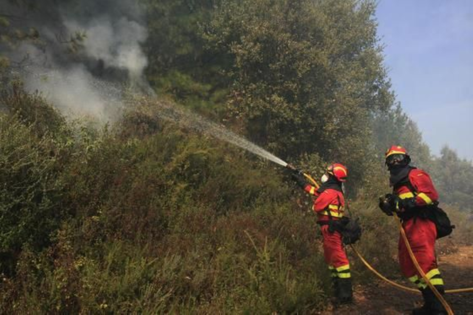 Dos miembros del Ejército echan agua para refrescar el bosque

Foto: Javier Flores
