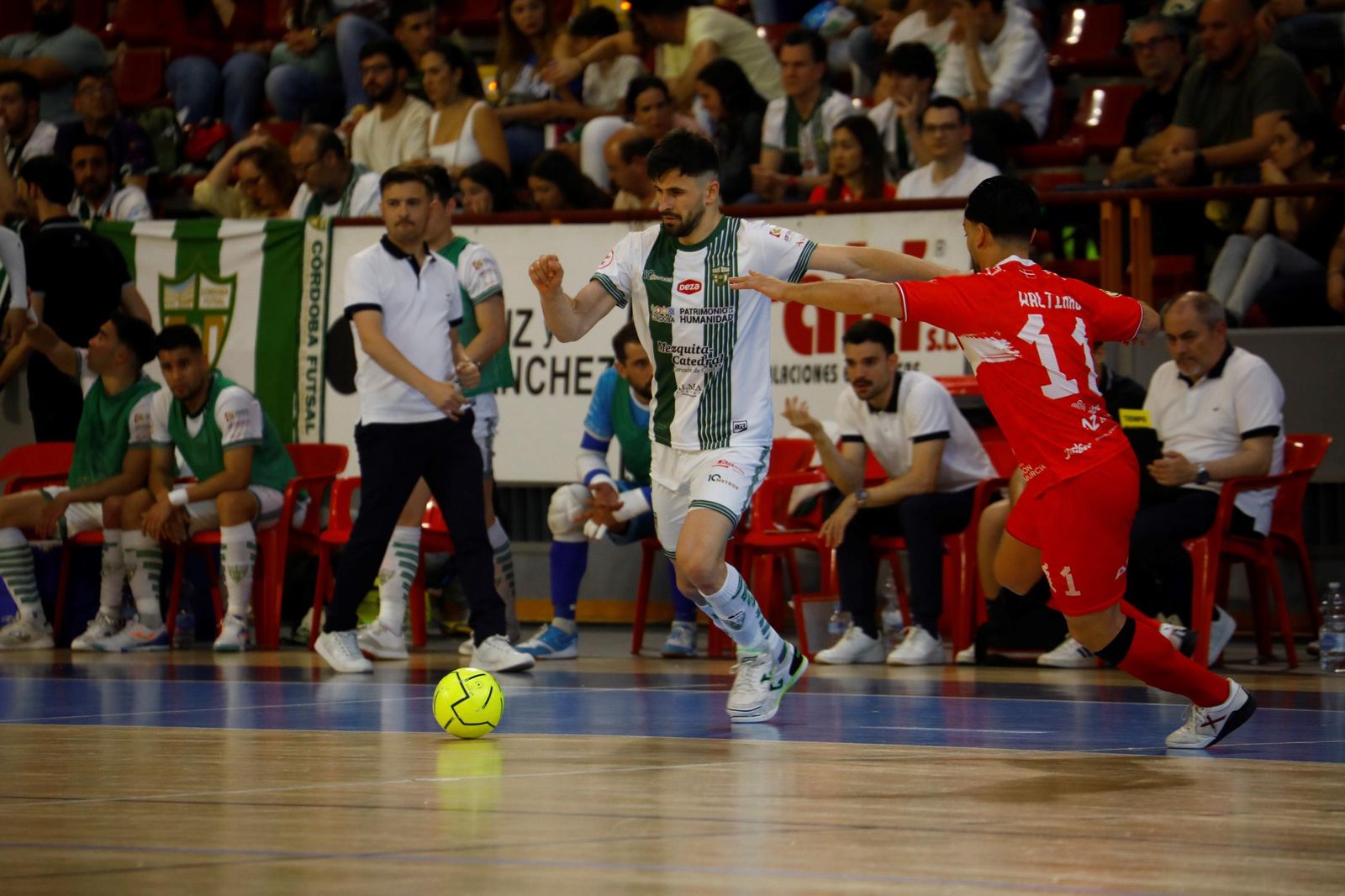 Las mejores fotos del ambiente en Vista Alegre para el Córdoba Futsal - Jimbee Cartagena