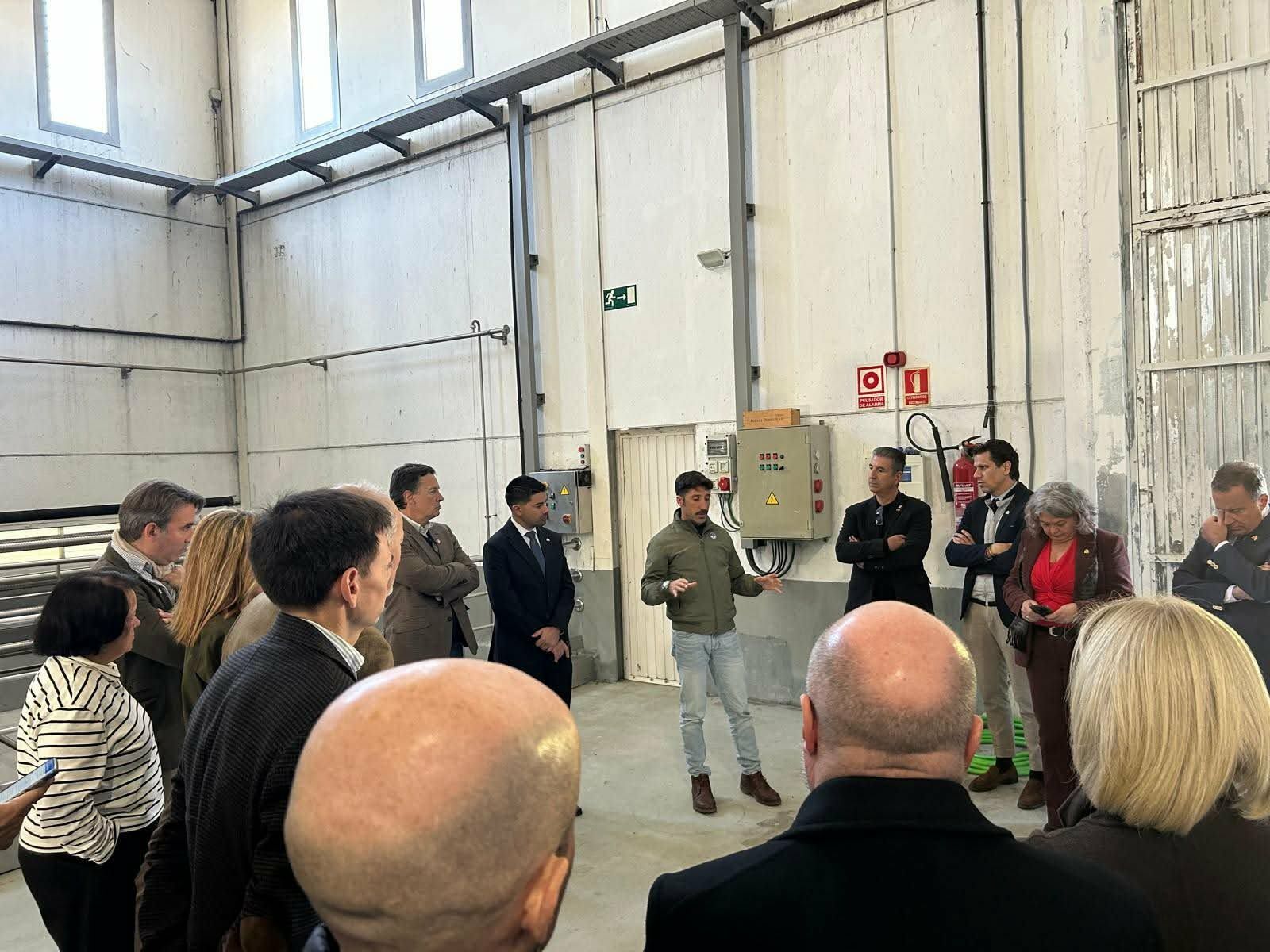 Blanca Flower Power a lo suyo