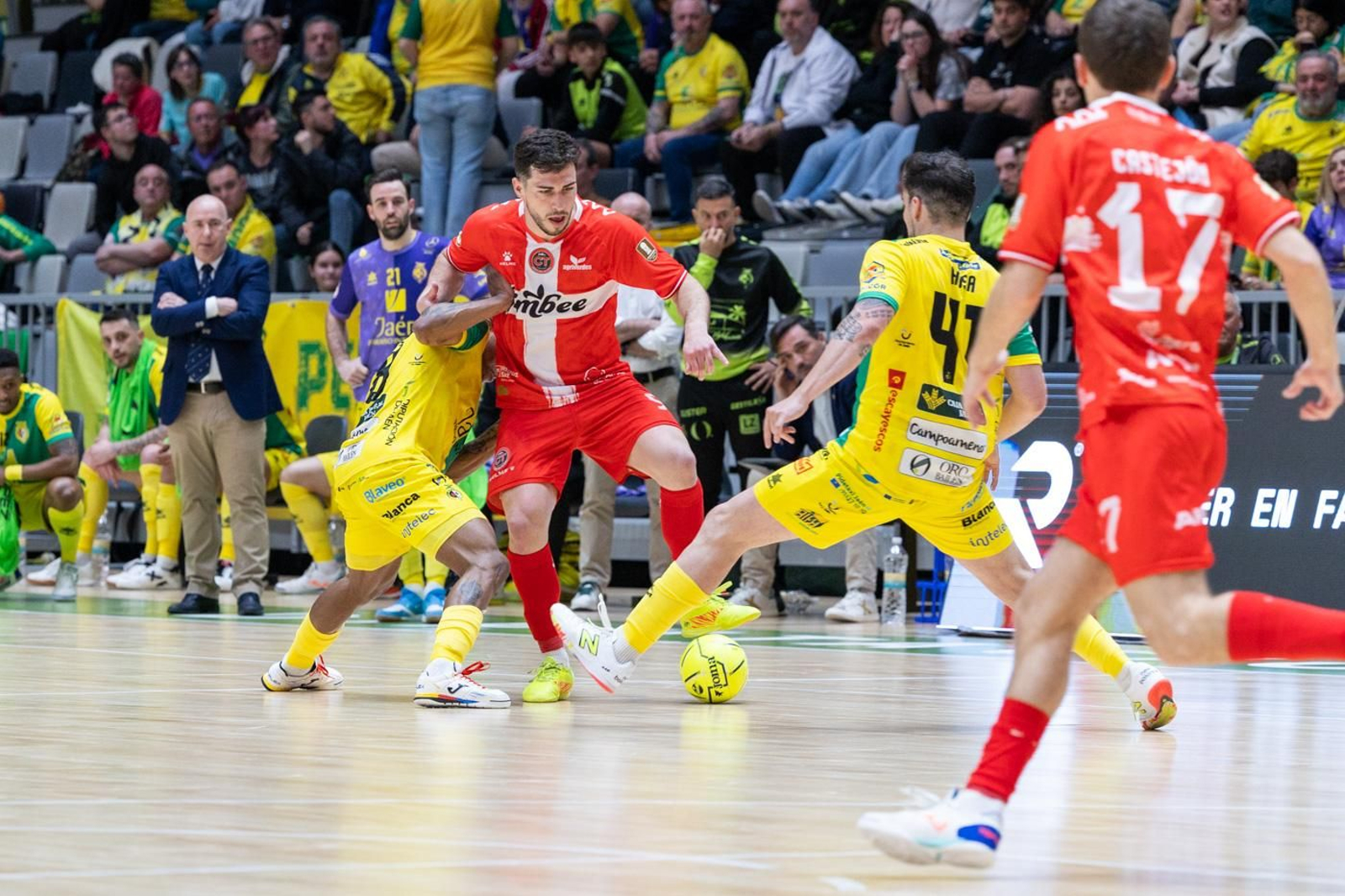 En imágenes: la afición y mejores jugadas del Jaén FS - Jimbee Cartagena