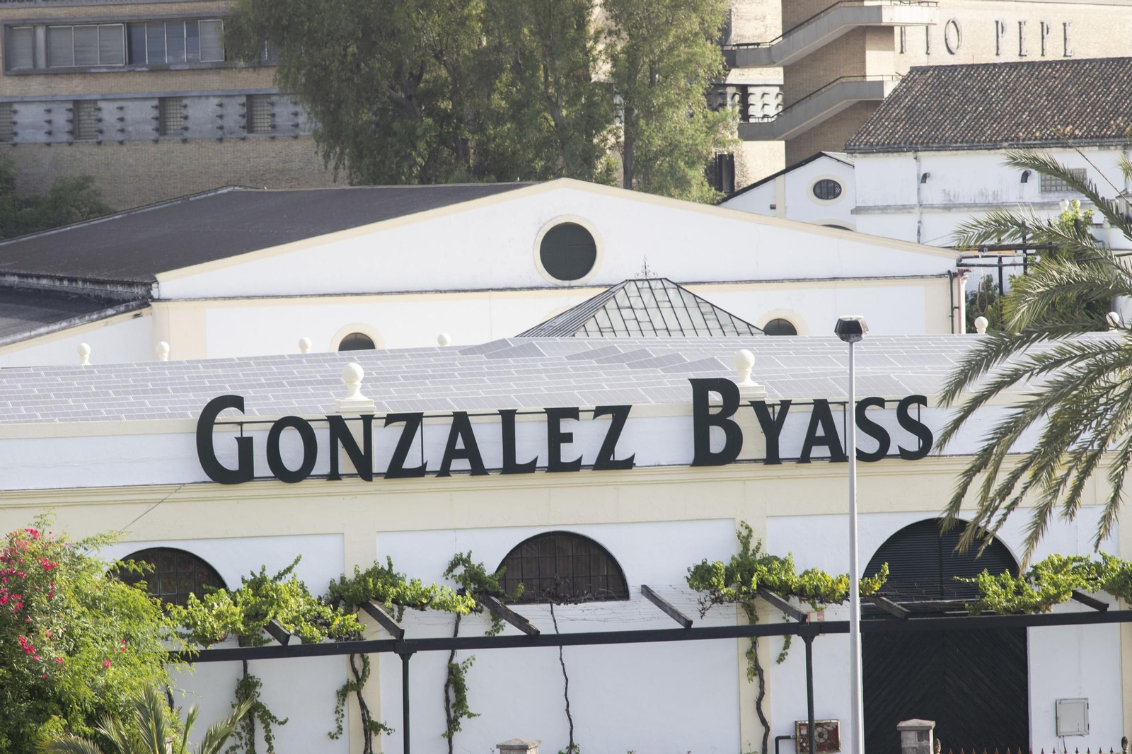Paneles solares en uno de los cascos de bodega de González Byass en Jerez.