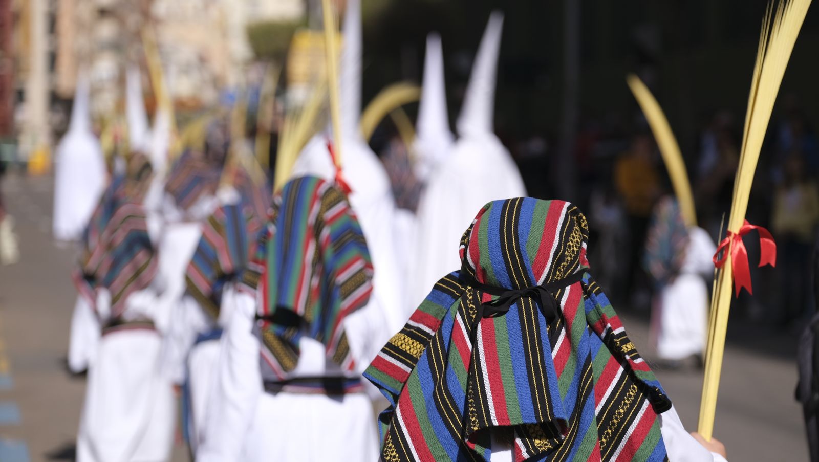Fotogalería de la procesión de La Borriquita en Almería. Semana Santa 2022.