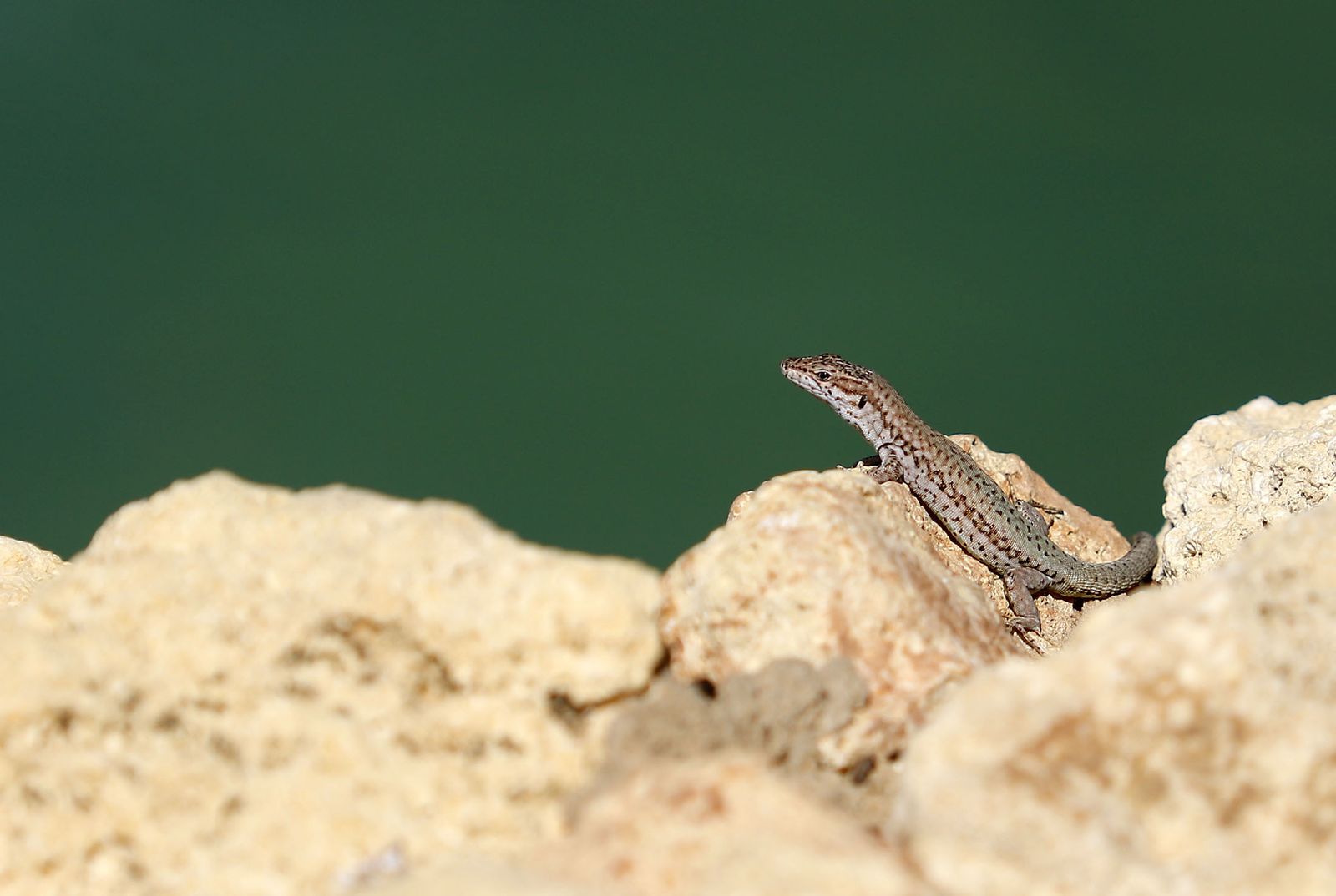 Las imágenes más destacadas del lunes 3 de julio en Huelva