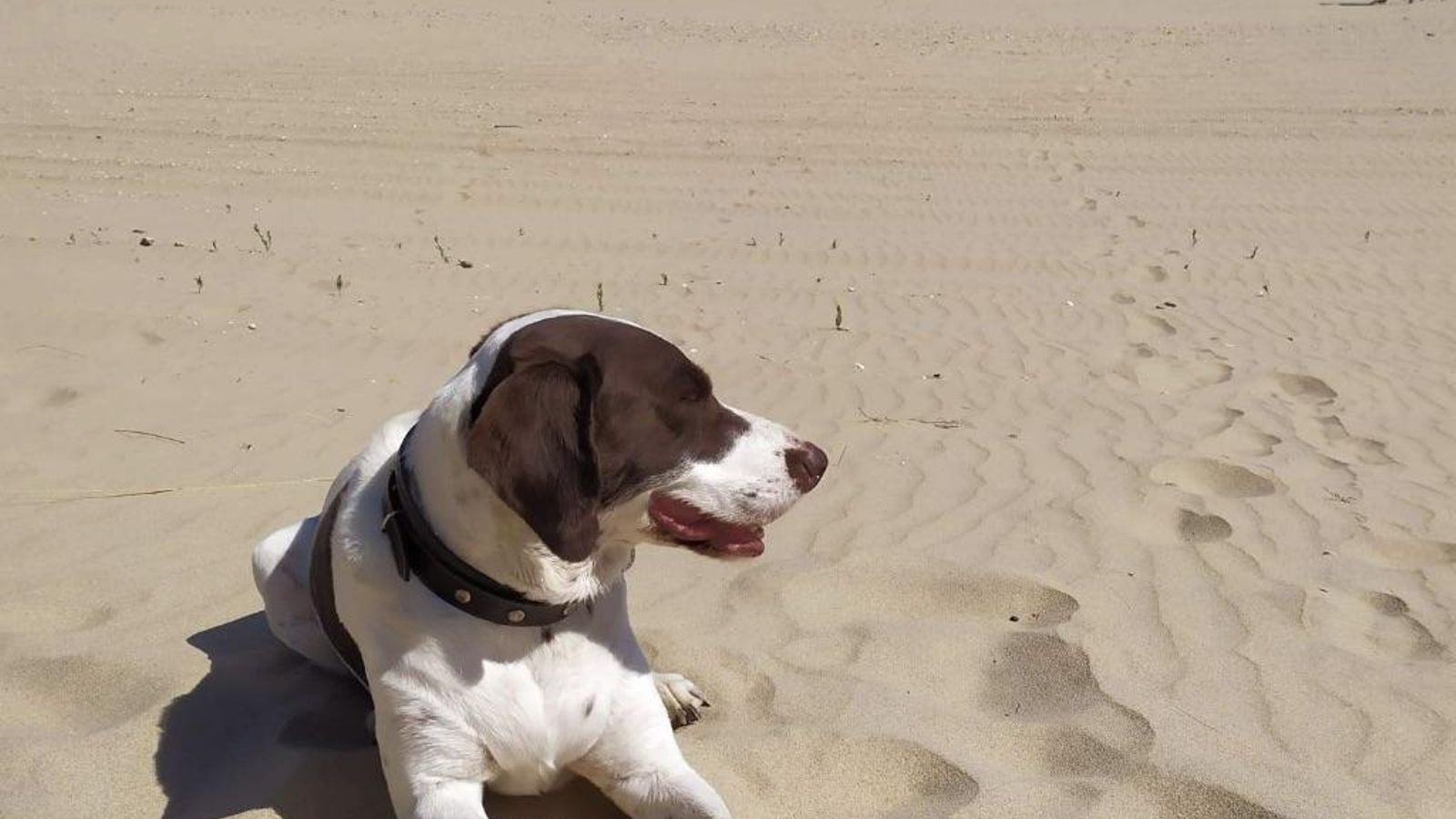 Playa de Pesmar (Icona)