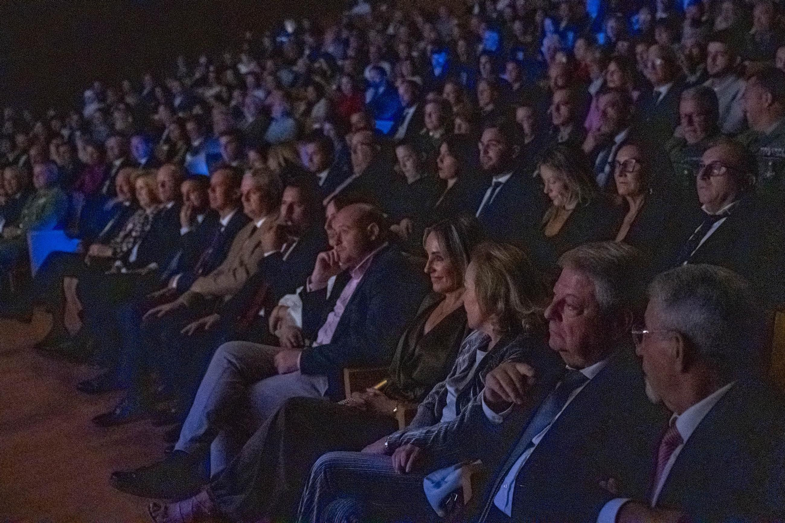 La gala de los XIII Premios de Diario de Almería, imagen por imagen