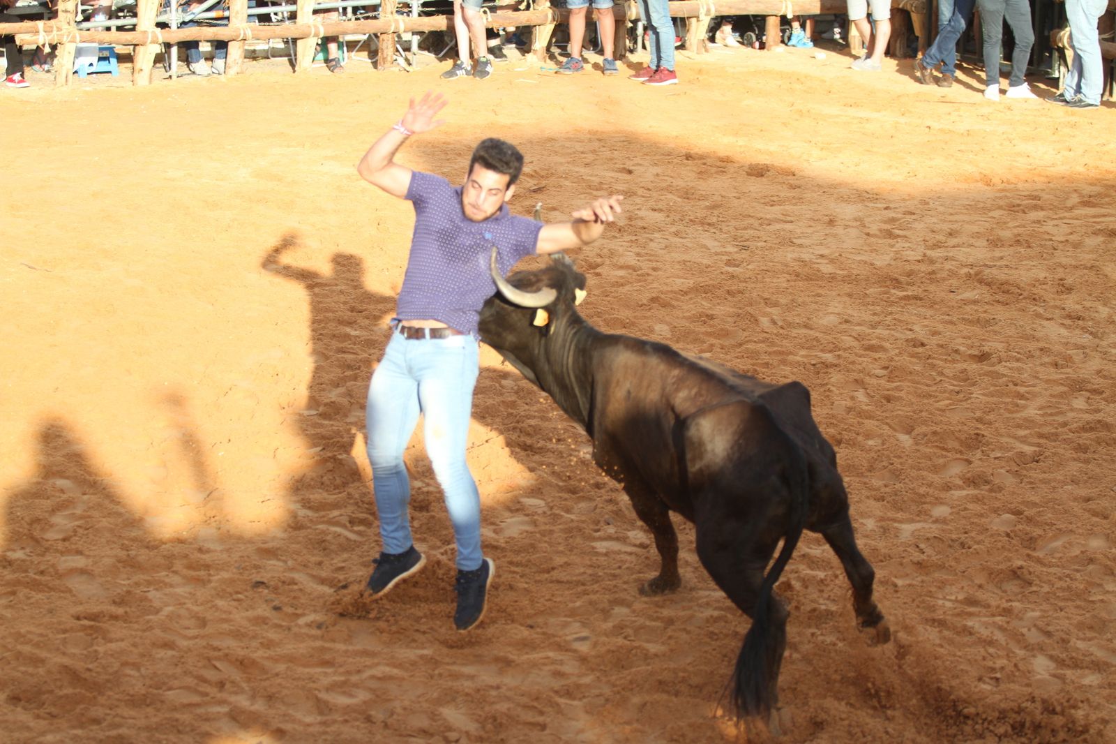 Comienzan las capeas en San Juan del Puerto