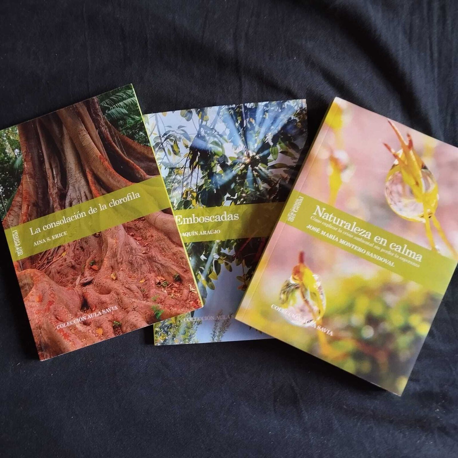 Los tres primeros volúmenes de la nueva colección literaria 'Aula Savia'.