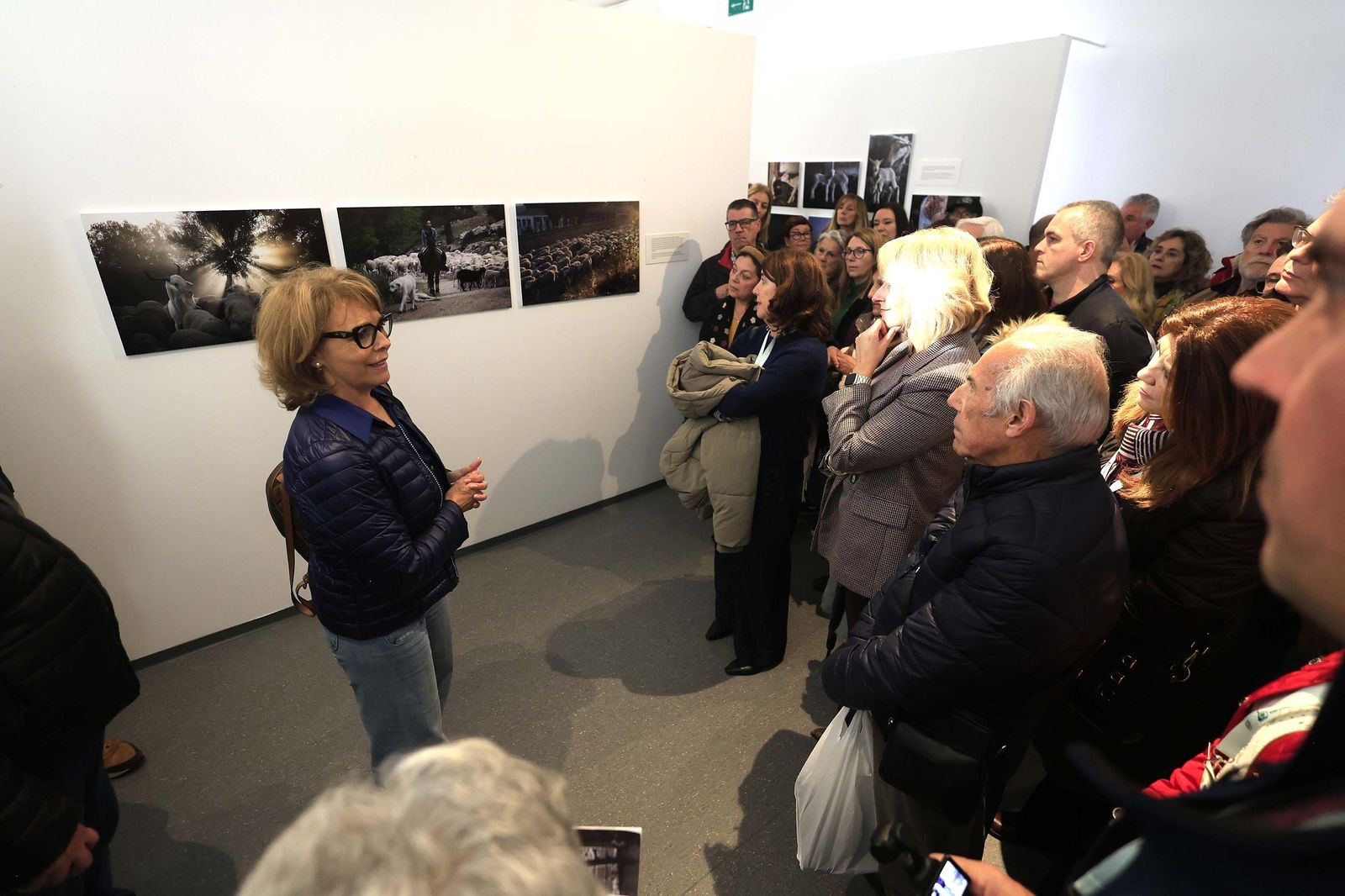 Fotos de la exposición 'Yerba, el corazón verde de la transhumancia' de Katy Muñoz