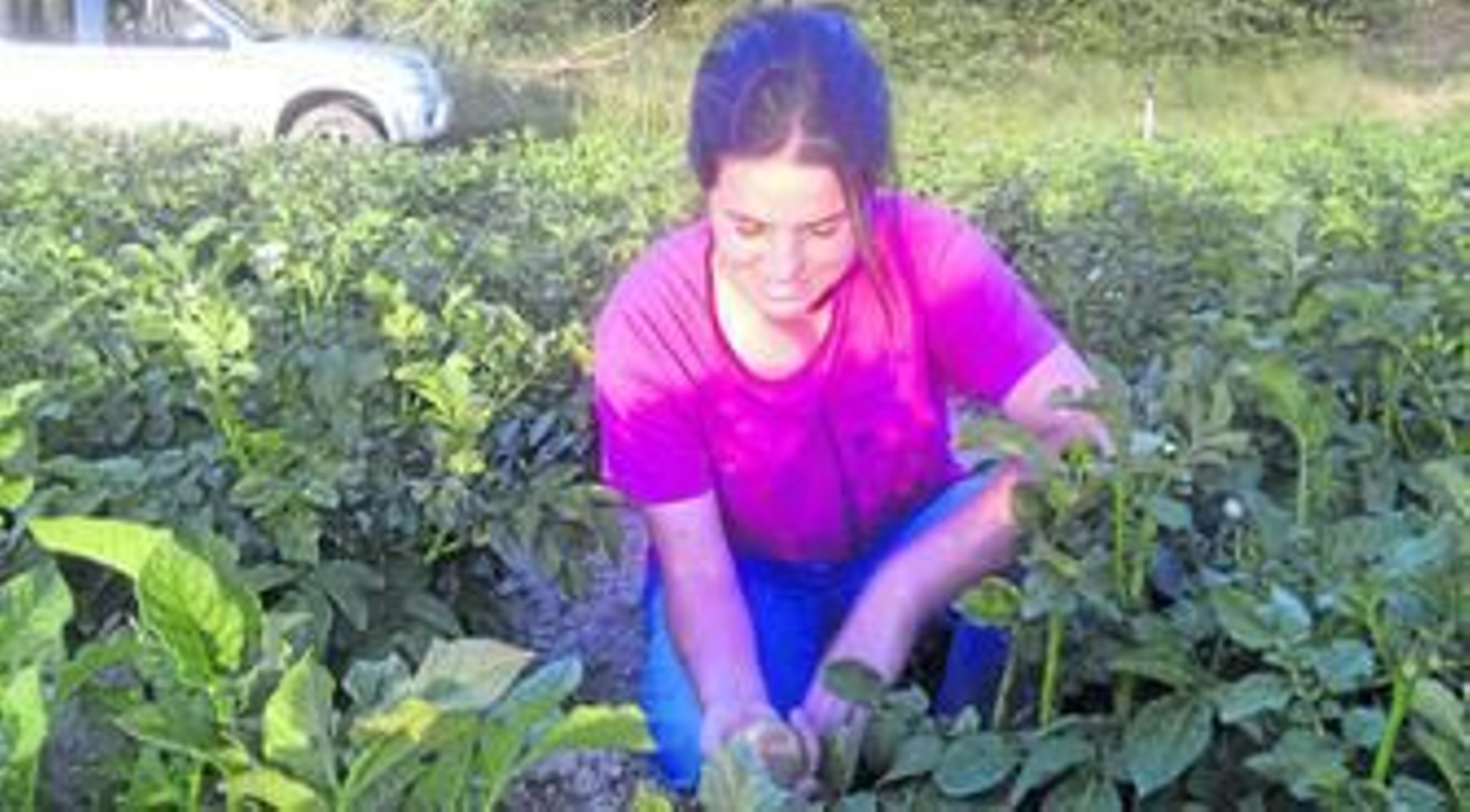 Una joven en una explotación agraria de la campiña jerezana.