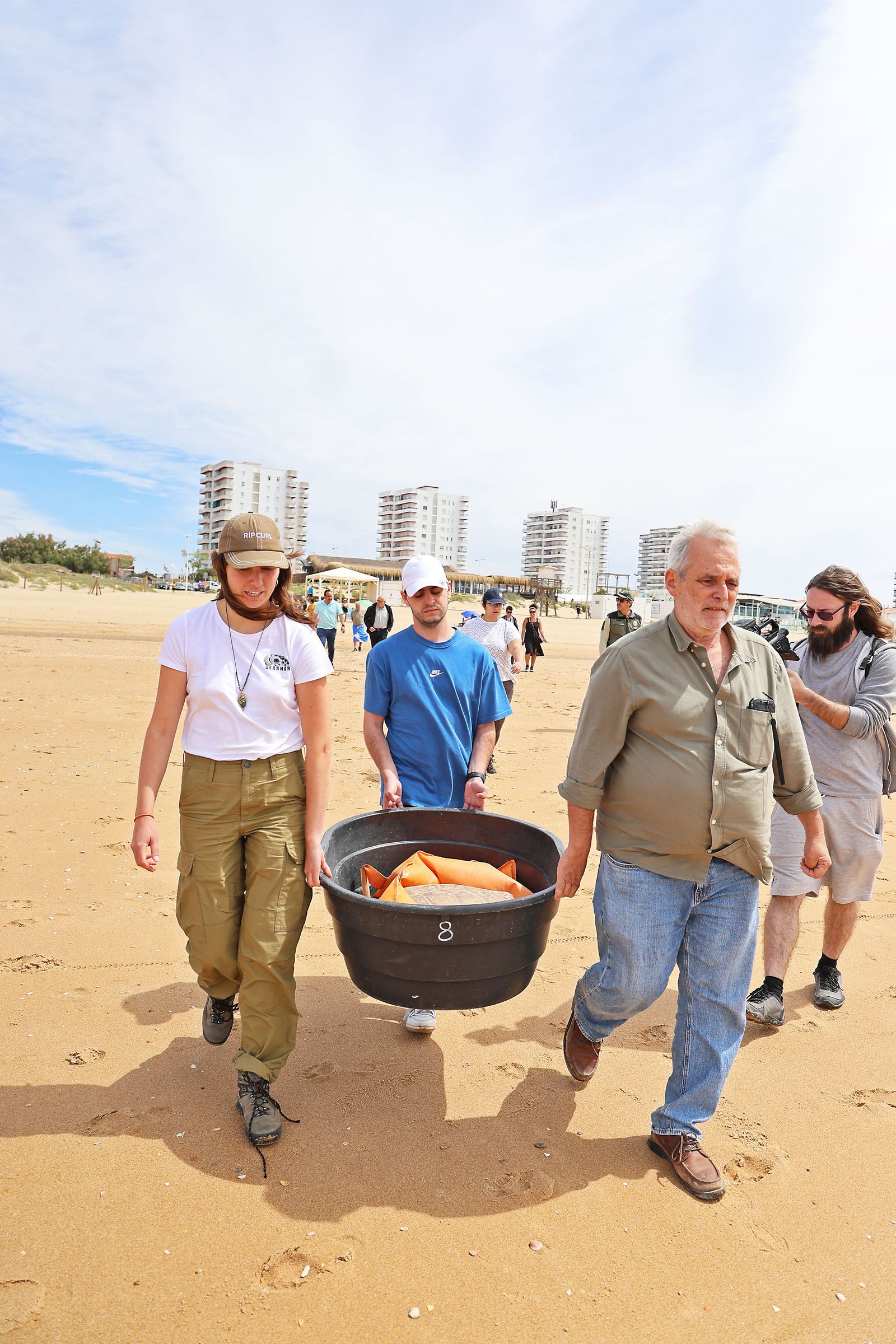 Imágenes de la suelta de una tortuga marina boba recuperada en el CEGMA de Algeciras