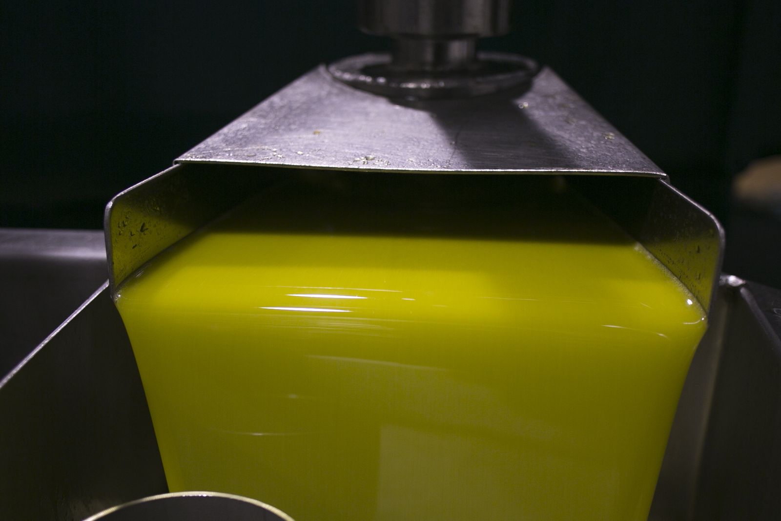 Producción de aceite en Málaga.