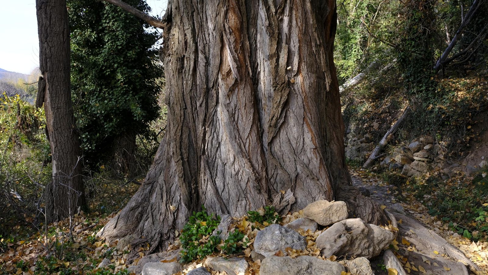 Limpieza y senderismo por la Alpujarra, en imágenes